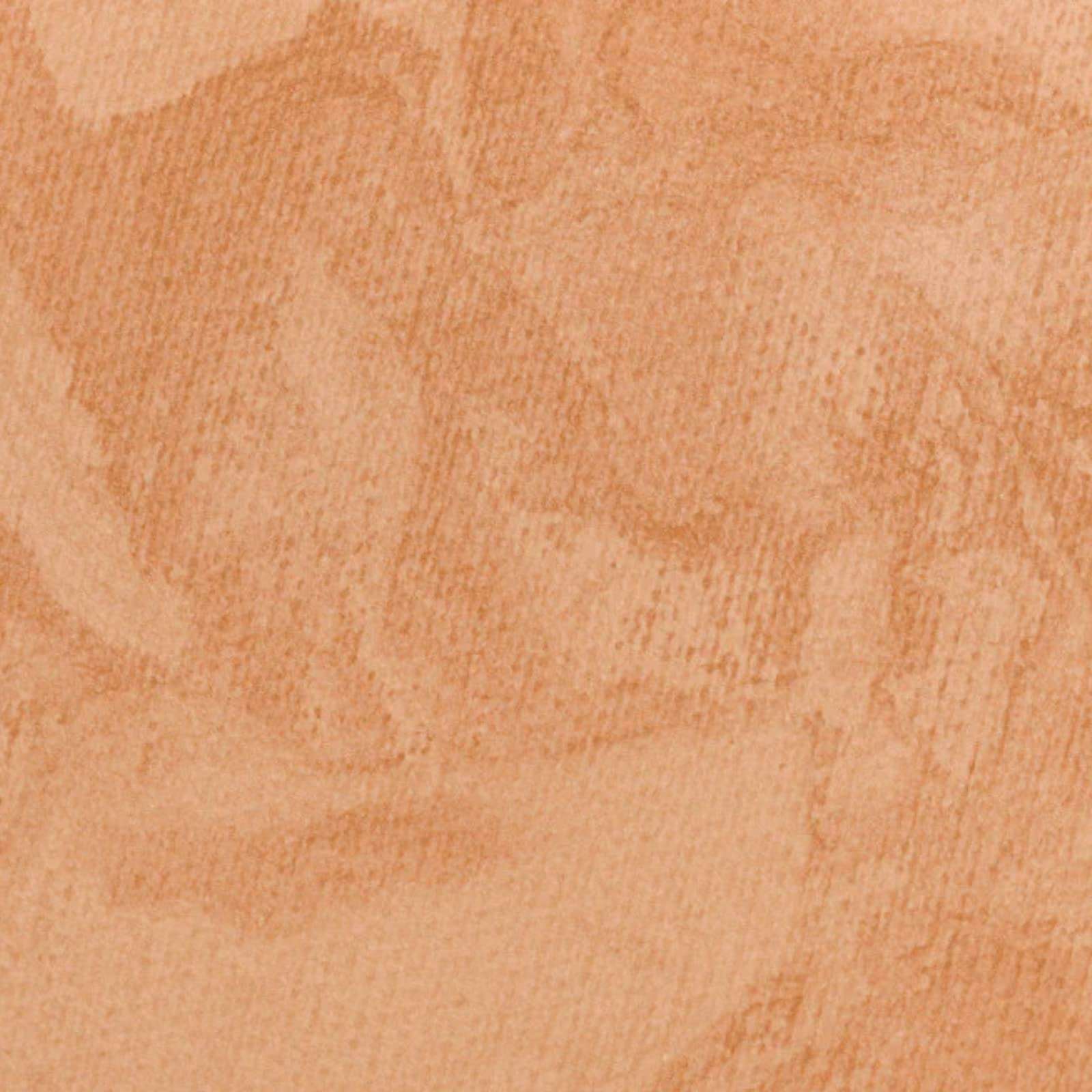 Antonym Cosmetics Baked Foundation Face Powder Makeup Natural Looking Glowing Skin Wrinkle Defying Minimize Fine Lines & Pores Mattifying Sun Kissed Tan Contour Long Lasting Full Coverage 3.9oz (Nude) 5