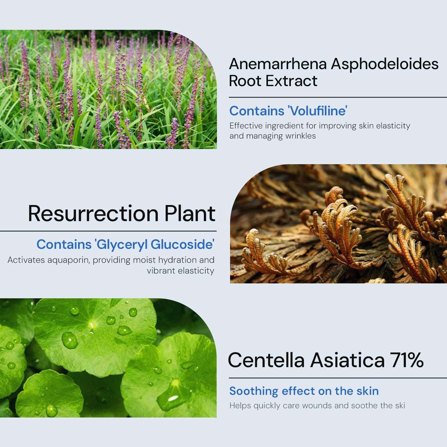 A MAR DA BRI-JECTION CREAM 4