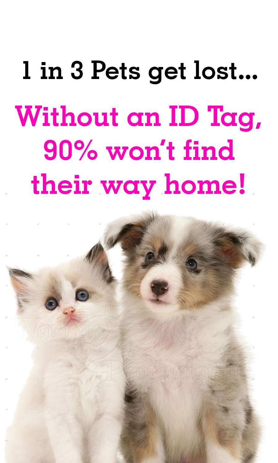 Winnie The Pooh Pet Id Tag for Dogs & Cats Personalized w/ Name & Number 2