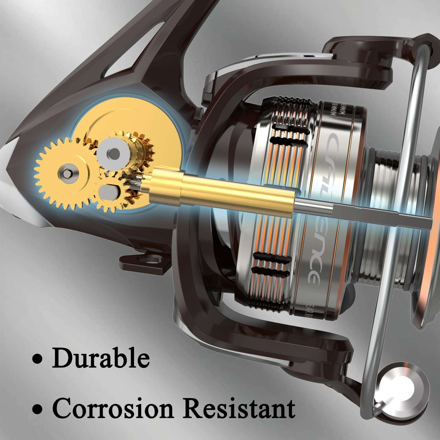 Cadence Spinning Reel-Elate 10+1 BB Light Weight & Durable -Stainless Steel Main Shaft, Die-Casting Handle&Double Anodized Spool-Ultra Smooth Powerful Reel with Graphite Body &Felt Washer 3