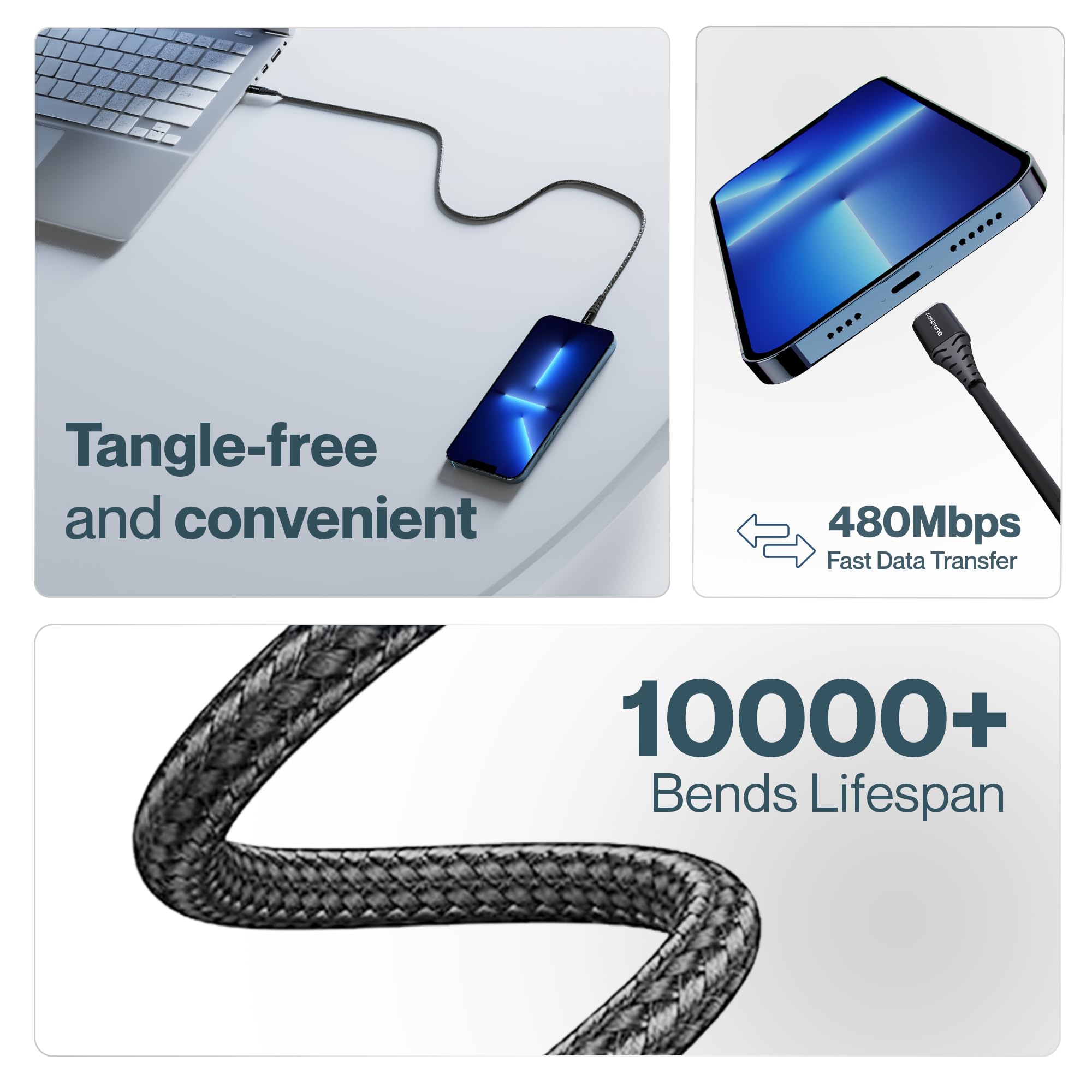 AMBRANE RCTT-10 Usb data cable Black 5