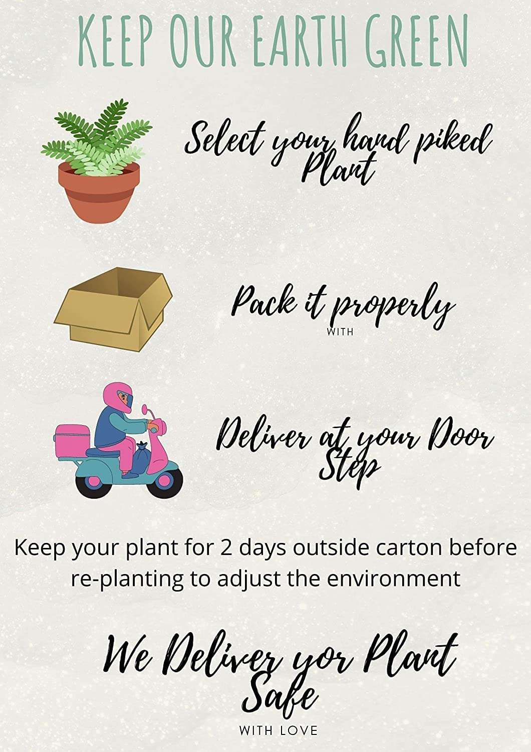 OhhSome Indoor Cactus Plant - |Home|Indoor|Bedroom|Table|Living Room|Office Decoration Giftopuntia Tuna Montrosa,7 Cm Pot House/Office Live (Air Purifier Healthy Plant) 6