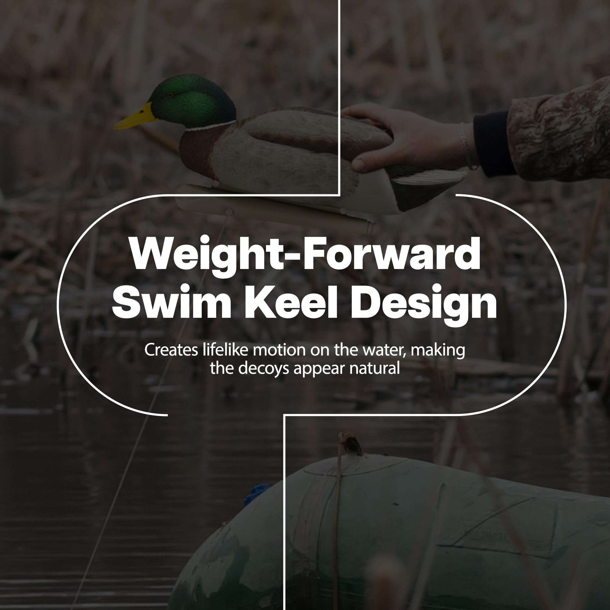 Avian-XTopflight Backwater Mallards Duck Decoys Pack, Ultra Realistic Floating Mallard Hunting Decoy, 3 Feeding Postures, Multicolor, 6 Pack 2