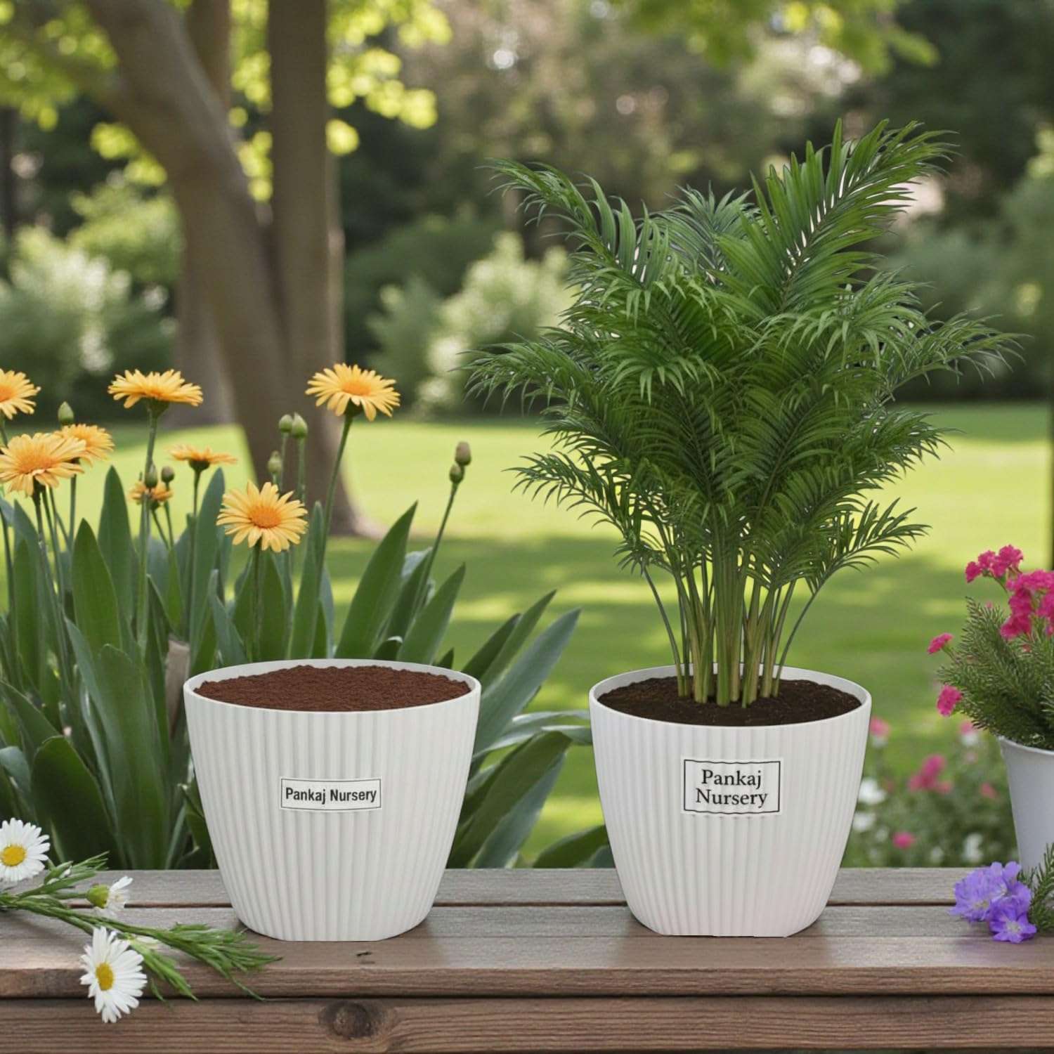 Pankaj Nursery Plastic Round Mega Indoor and Outdoor Pot | Color : White | Pack of 2 (11 Inches) 6