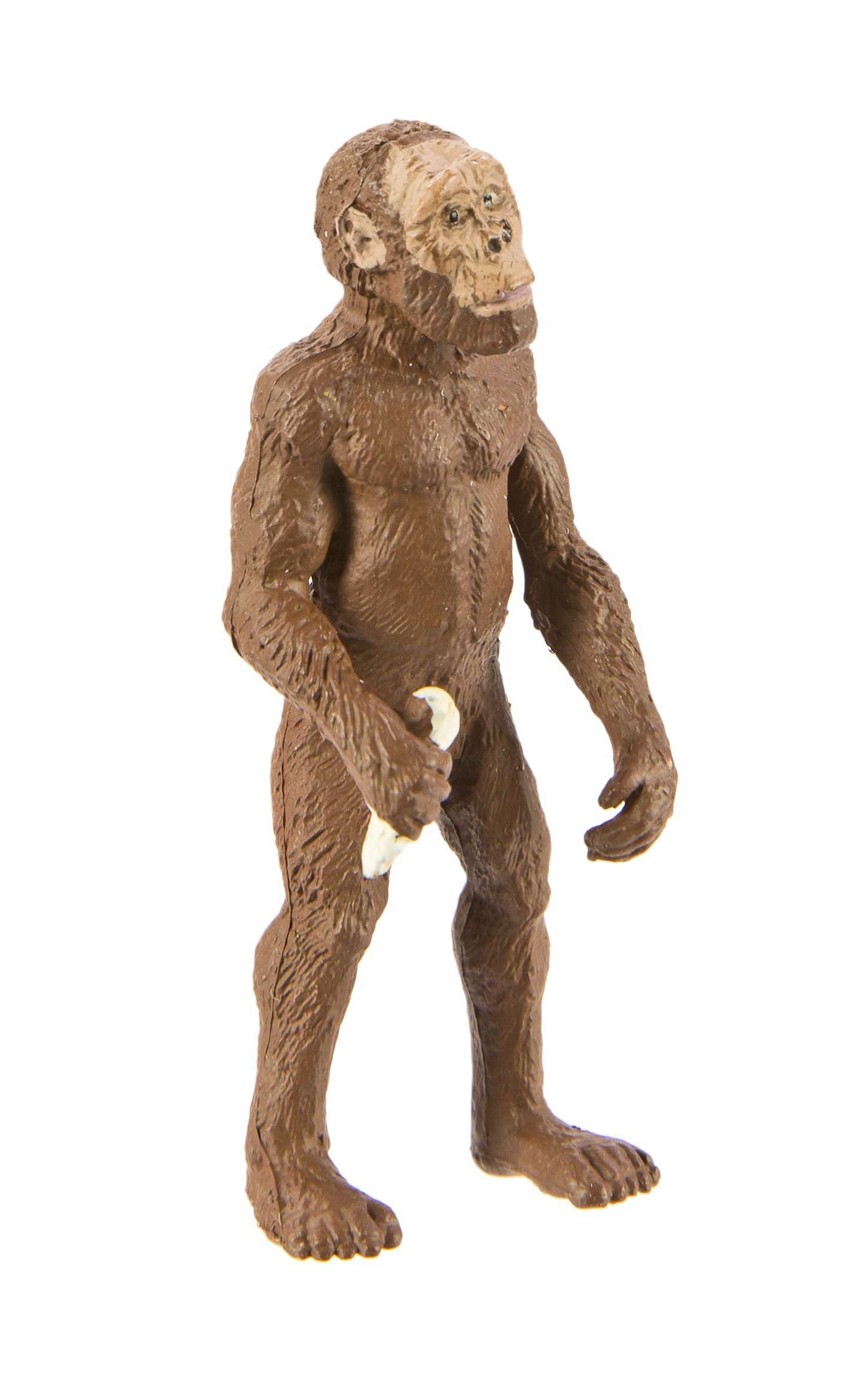 Safari Ltd. Evolution of Man Set - Detailed Educational Human Evolution Toy Figurines - Realistic Human Development Stages Collection for Boys, Girls & Kids Age 4+ 3