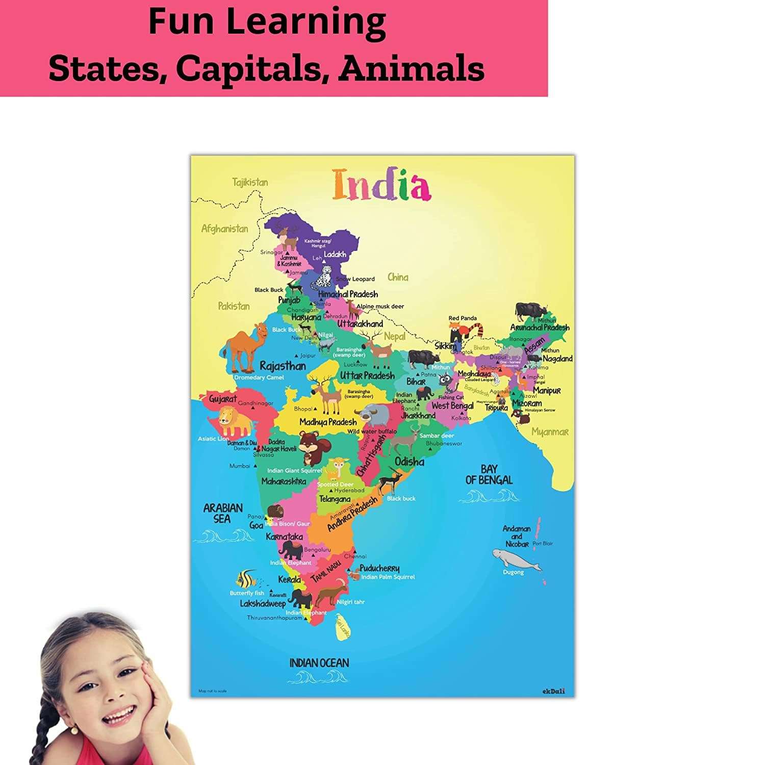 EKDALI India States of India Map with Animals Poster for Kids | Educational Learning India | india map for kids for Kids, Boys, Girls & Children Size :-16.5 X 23.4 inches (Multicolor) 2