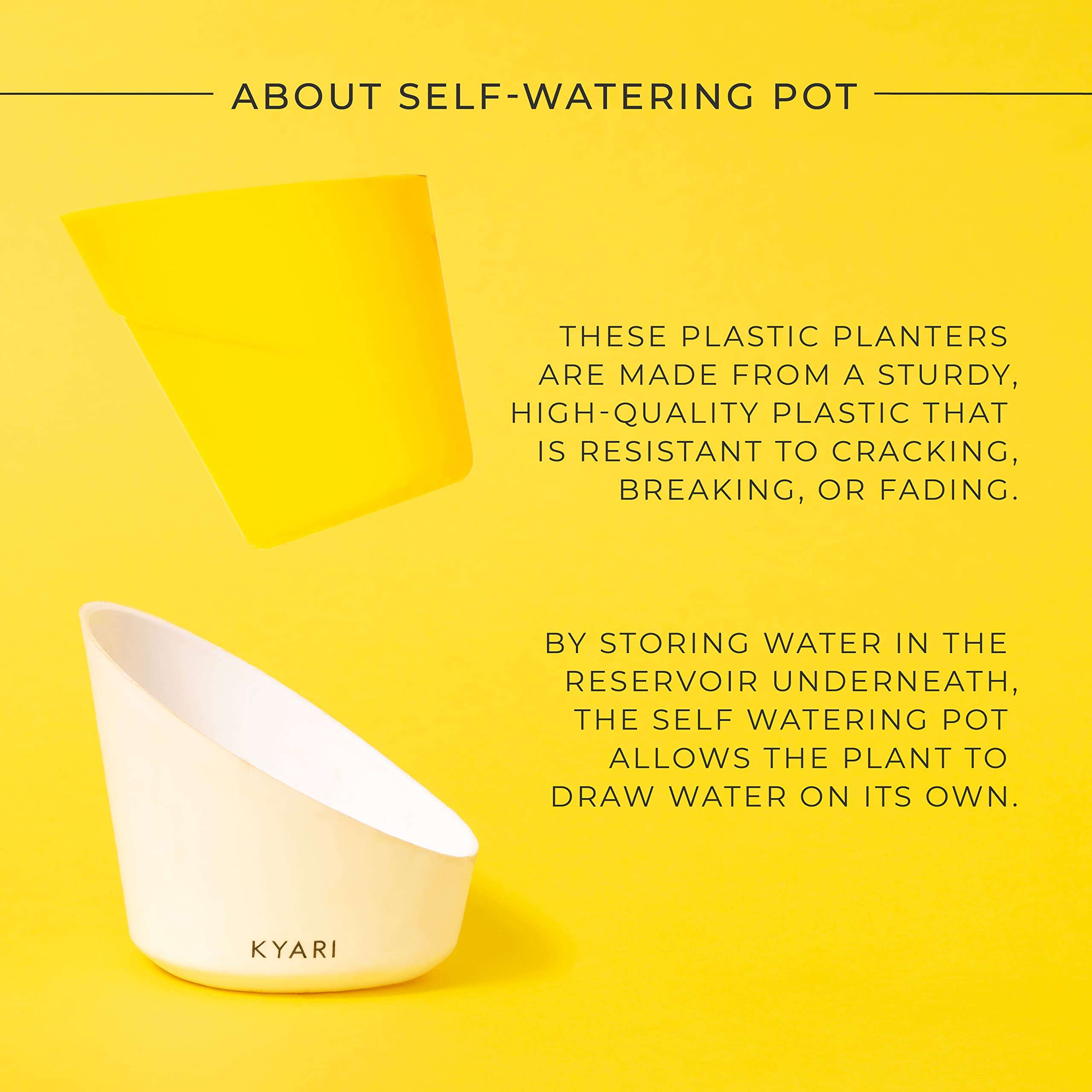 KYARI Jade Indoor Plants for Living Room | Live Plants | Plants with Lemon Yellow Pot for Home | Air purifier plants | Plants for Home Decor | Plants for garden | Indoor Plants for bedroom 5