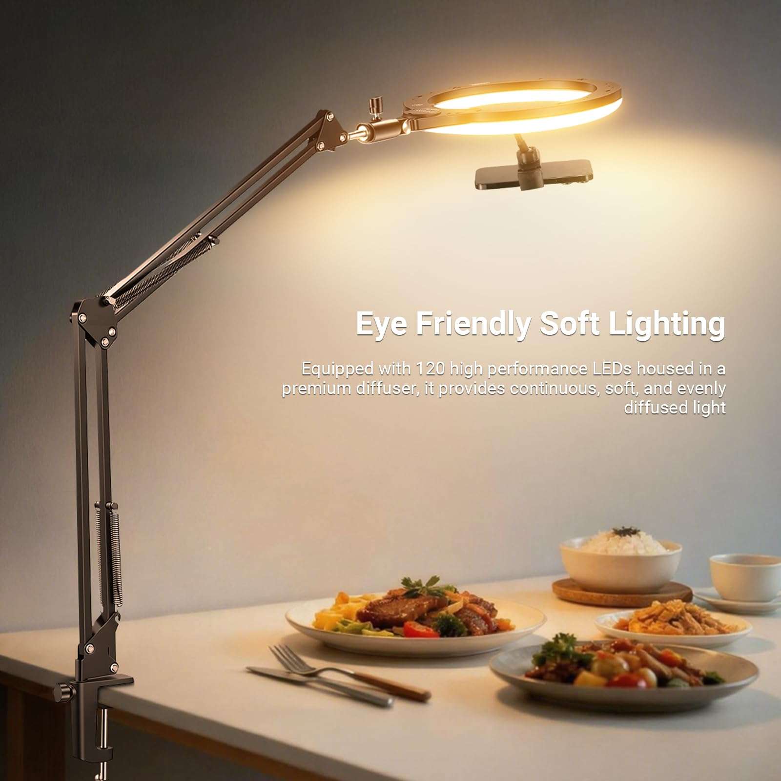 NEEWER Entry Level Version 10.5" Overhead Desktop LED Ring Light, Clamp Stand for Desk/Remote/Phone Holder Compatible with iPhone, 10W Streaming Recording Selfie Laptop Video Conference Lighting, N31 5