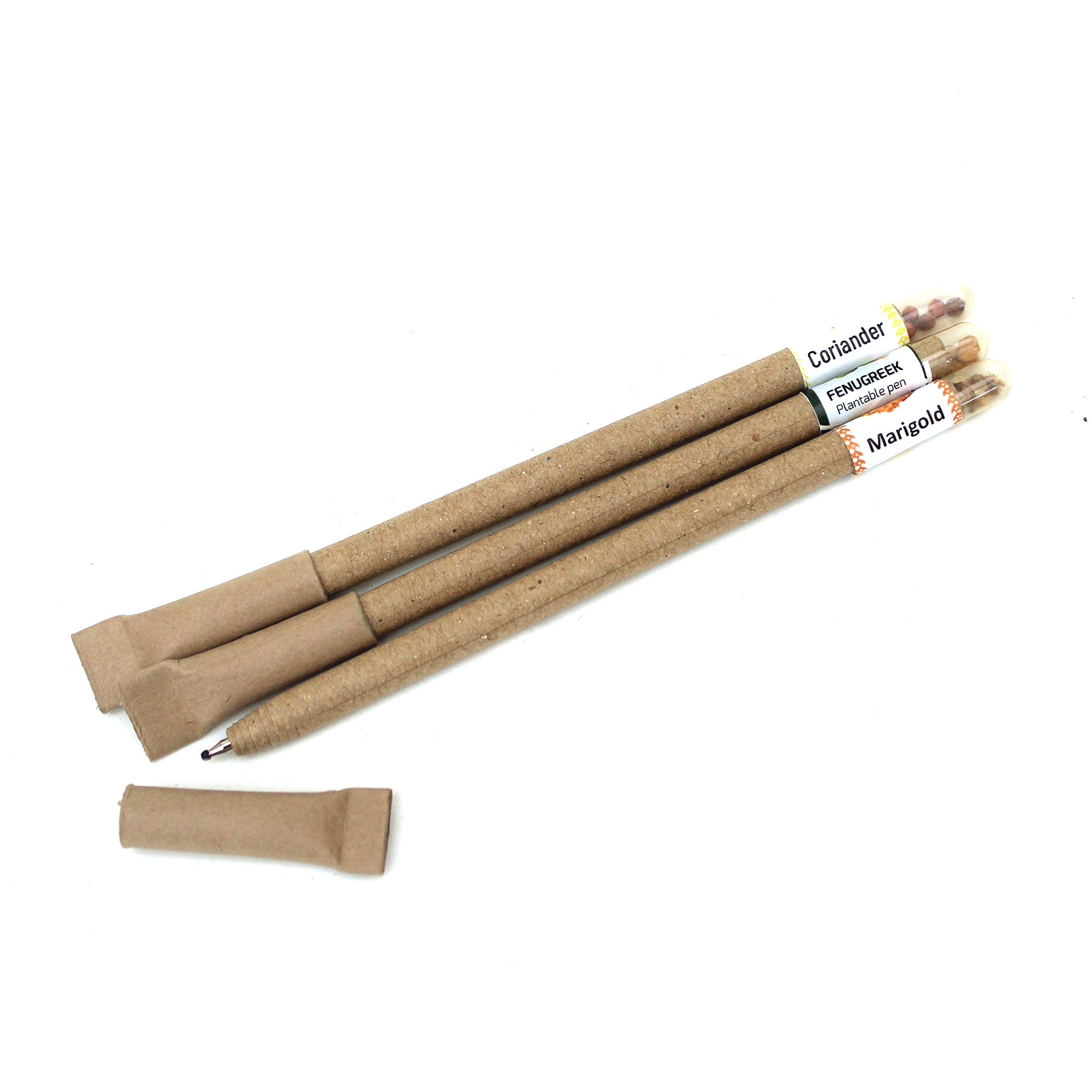 bioQ Box Of 25 Plantable Seed Pens|Eco Friendly Box For Offices|Recycled Paper Bulk Packaging|Grow Plants From Pens|100% Bio-Degradable Pen Body,Blue 3