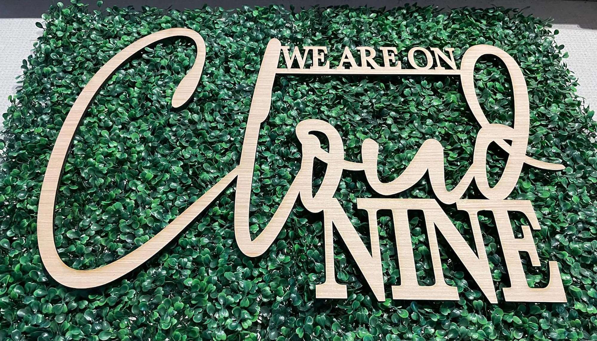 We Are On Cloud Nine Sign for Backdrop,Baby Shower Party Wall Sign for Gender Reveal Girl or Boy Baby Shower Party Decorations 3