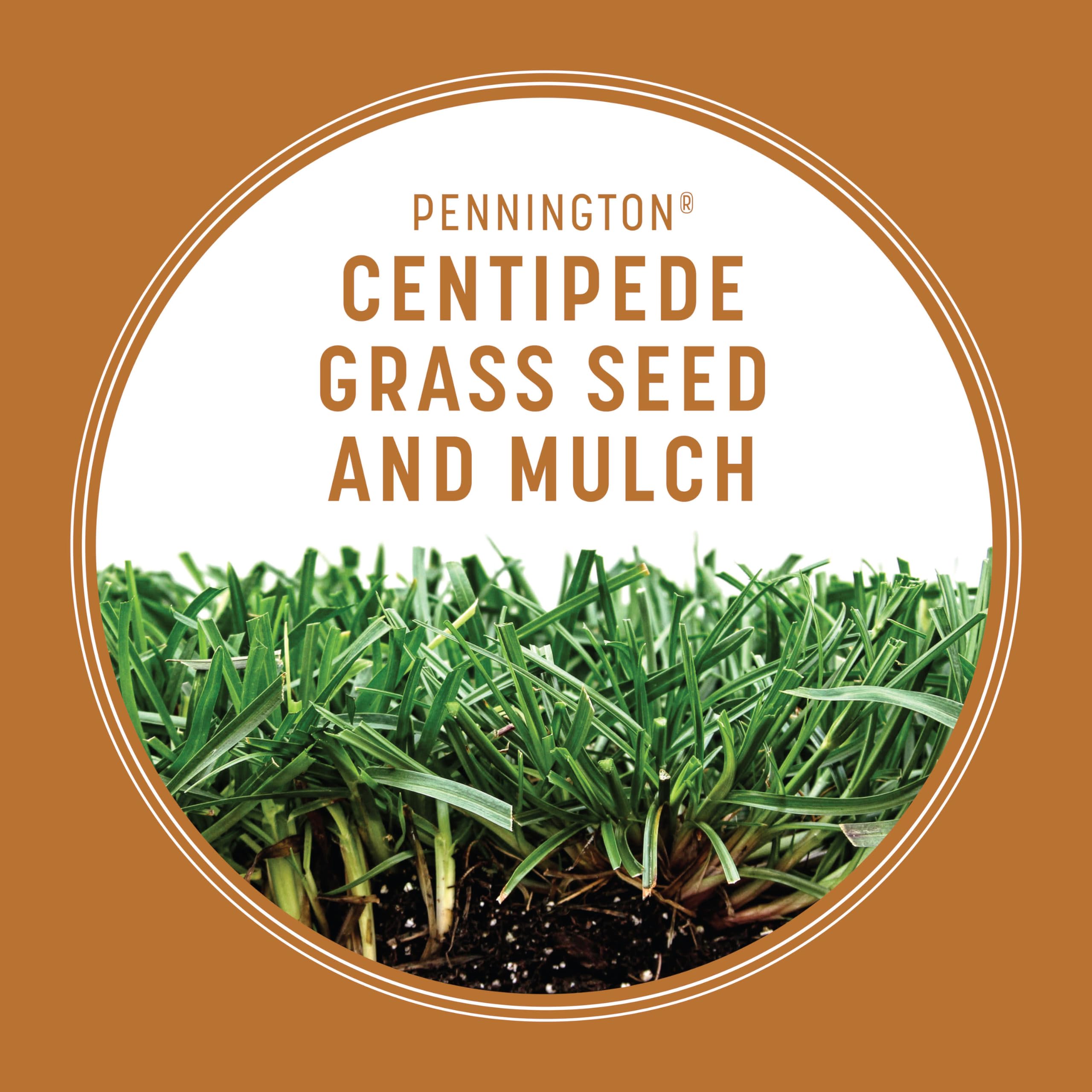 Pennington 100532365 Centipede Grass Seed & Mulch 5 LB, Black Label 4