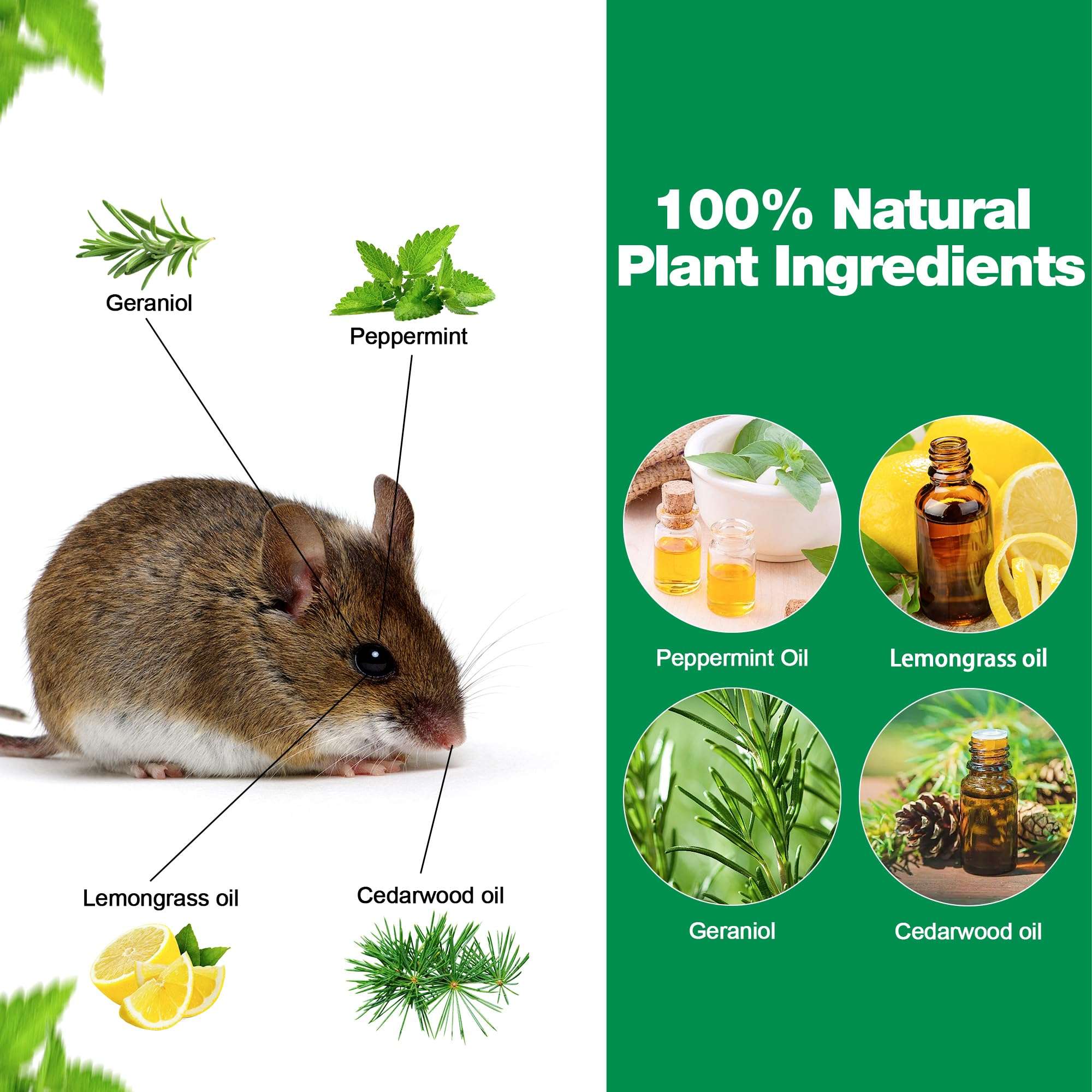 Peppermint Oil Rat Repellent - 48 Pack Mice Repellent Balls for Indoor House Garage Car Engine, Mouse Deterrent for Roaches, Ant, Bugs, Spider, Keep Mice Out Safe for Humans & Pets 4