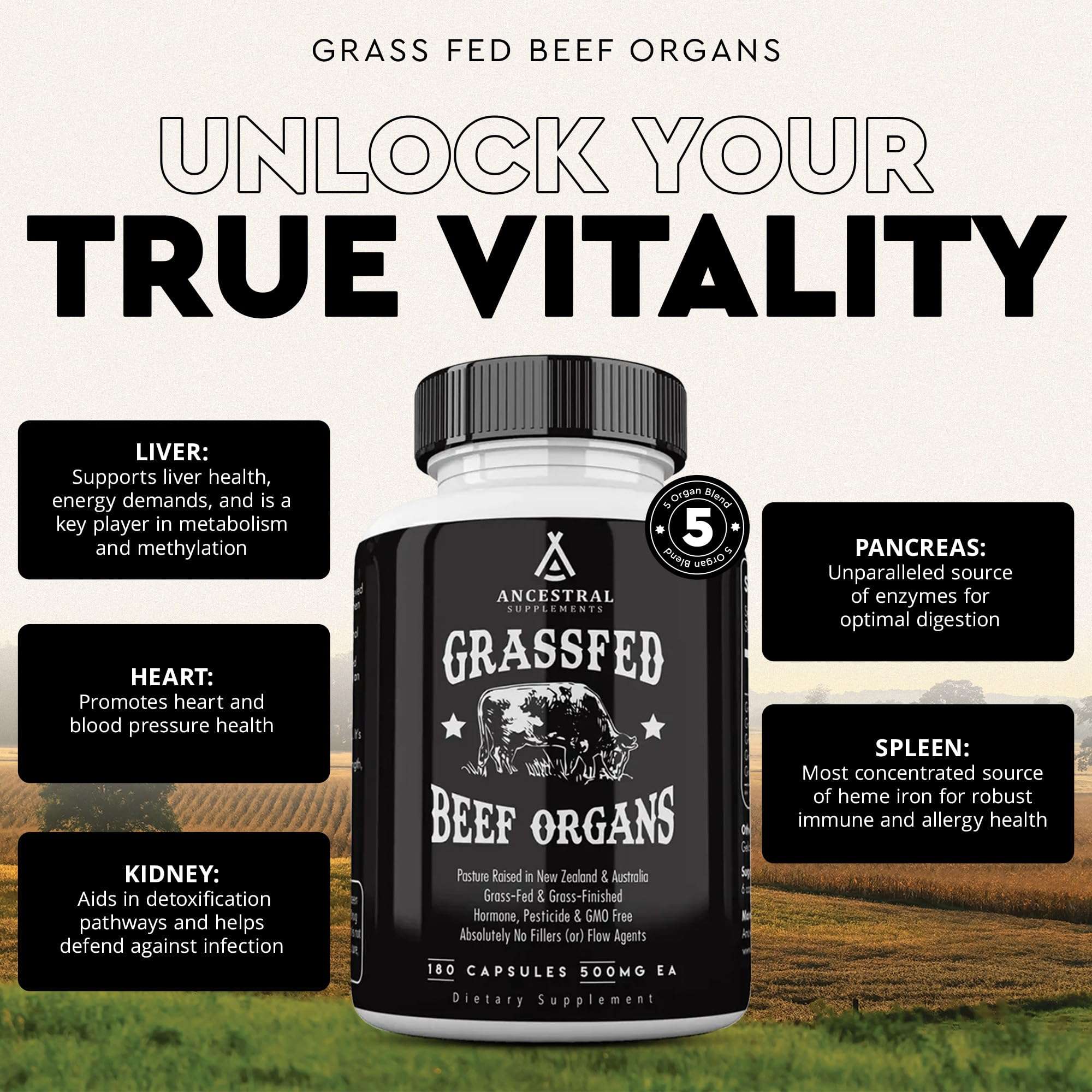 Ancestral Supplements Grass Fed Beef Organ Supplement, Supports Whole Body Wellness with Proprietary Blend of Liver, Heart, Kidney, Pancreas, Spleen, Freeze-Dried Beef, Non-GMO, 180 Capsules 3