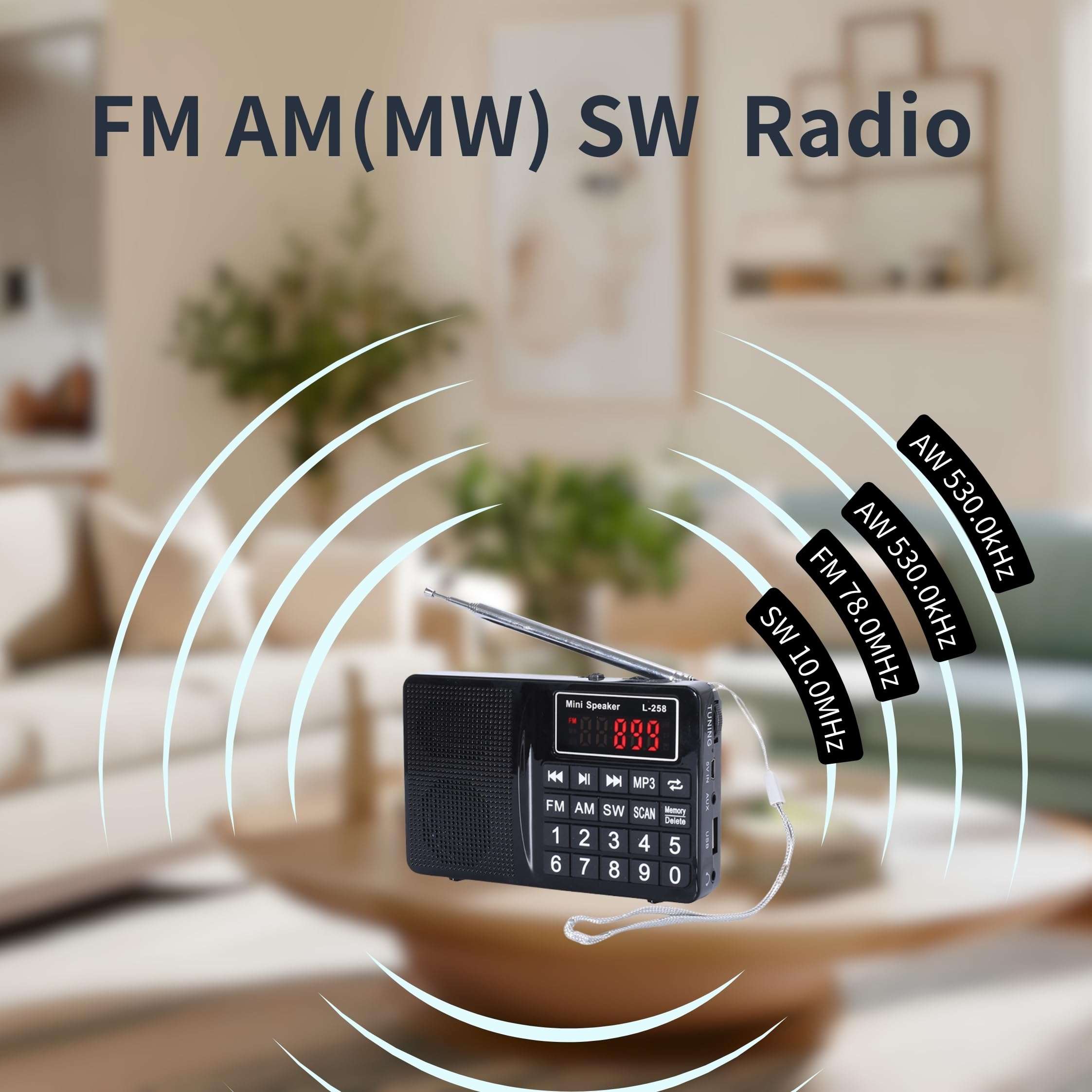 Multi-Band Plug-in Card Radio with FM, AM, SW, MP3 Player, USB Charging (Black) 4