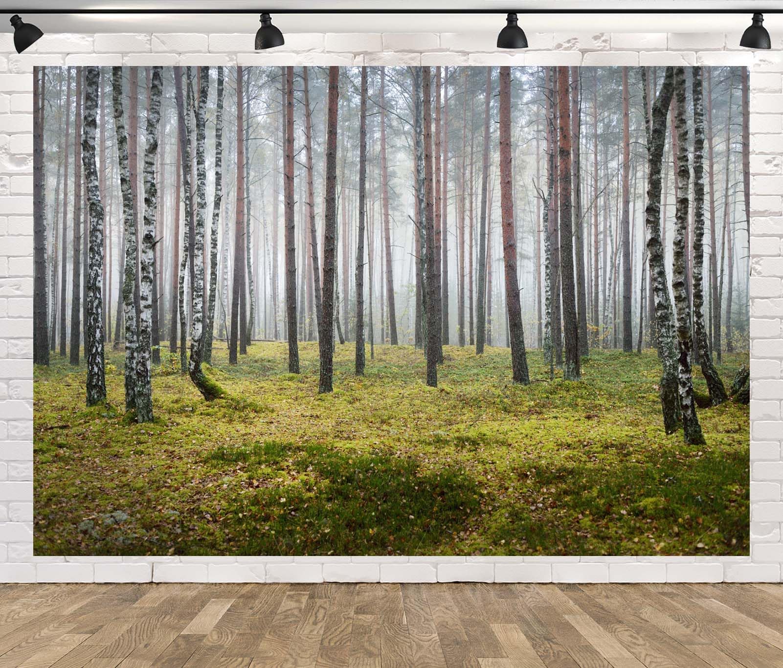 CORFOTO Foggy Forest White Birch Trees Backdrop Fabric 17x10ft Dark Spooky Grass Autumn Nature Scene Background for Fall Scenery Birthday Party Decorations Halloween Themed Photoshoot Props 1