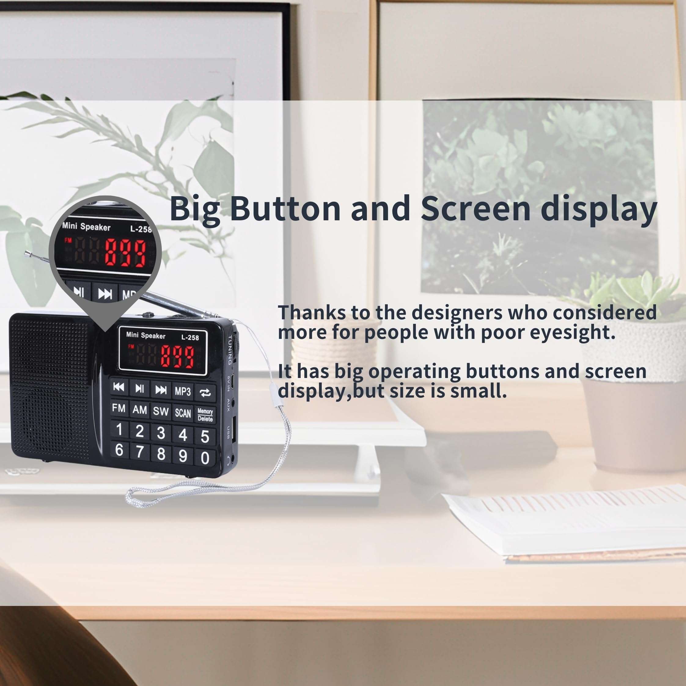 Multi-Band Plug-in Card Radio with FM, AM, SW, MP3 Player, USB Charging (Black) 6