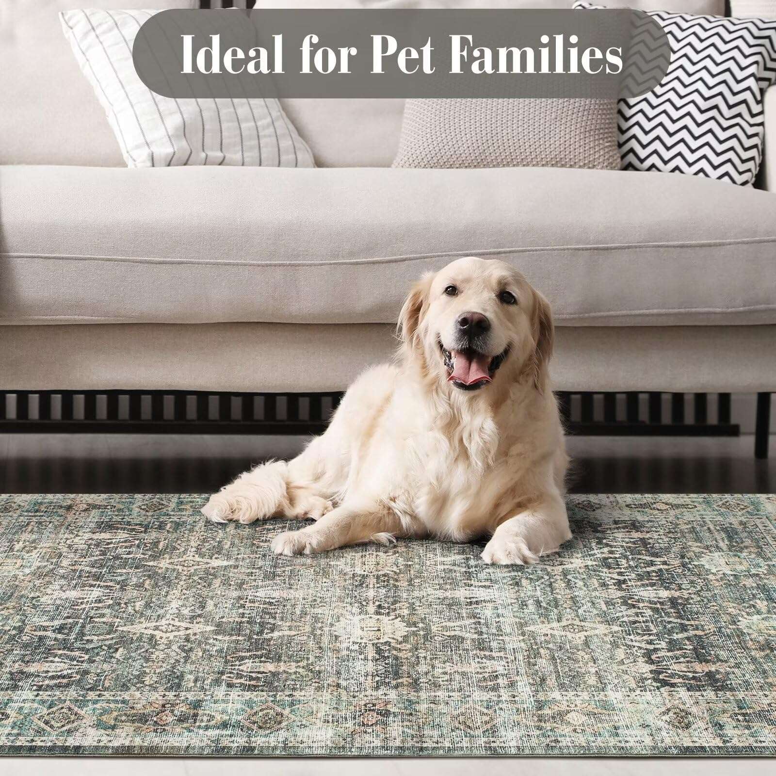 nusoarug 4x6 Boho Area Rug Machine Washable, 4' x 6' Green Soft Non-Slip Area Rugs with Rubber Backing for Bedroom Kitchen Entryway Living Room Bathroom, Faded Green 5