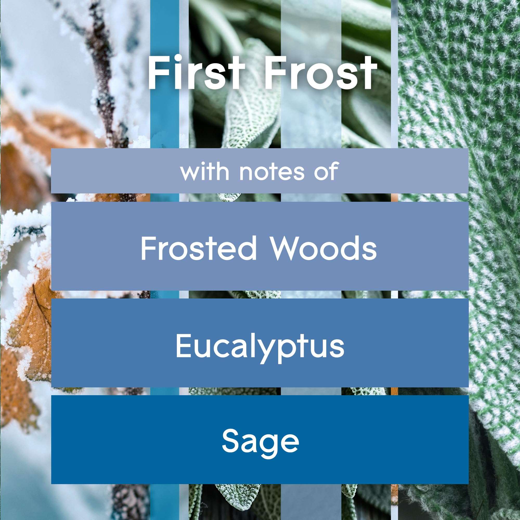 Glade Automatic Spray Refill, Air Freshener for Home and Bathroom, First Frost, Limited Edition Scent, 6.2 Oz 3