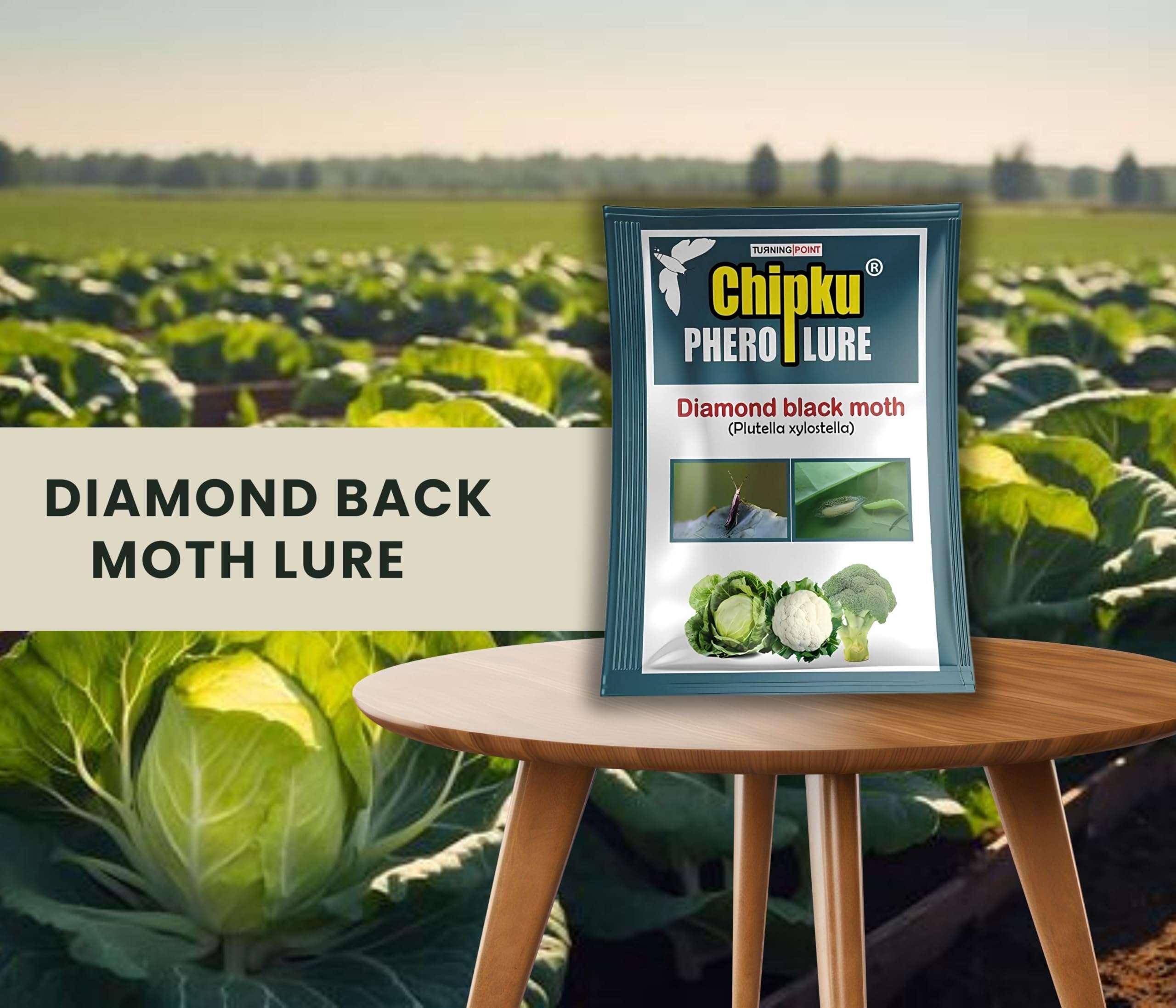 Chipku-Pheromone lure for insect diamond black moth (DBM) (25) 3