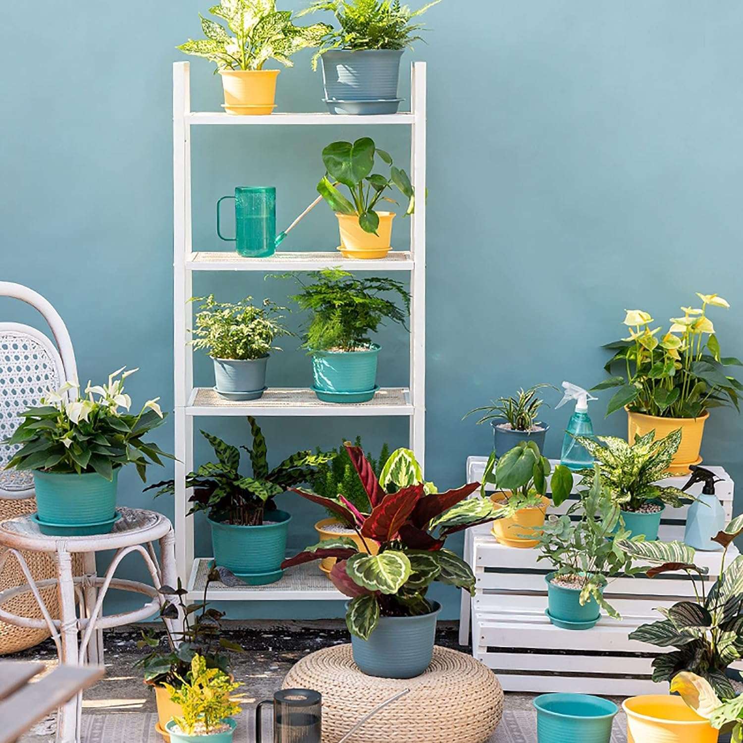 INKULTURE Plastic Round Flower Pots with Tray for Home Planters, Terrace, Garden Etc | Pack of 05 | Multicolor | Size 8 Inch | for Home Indoor & Outdoor Gardening Plants 4