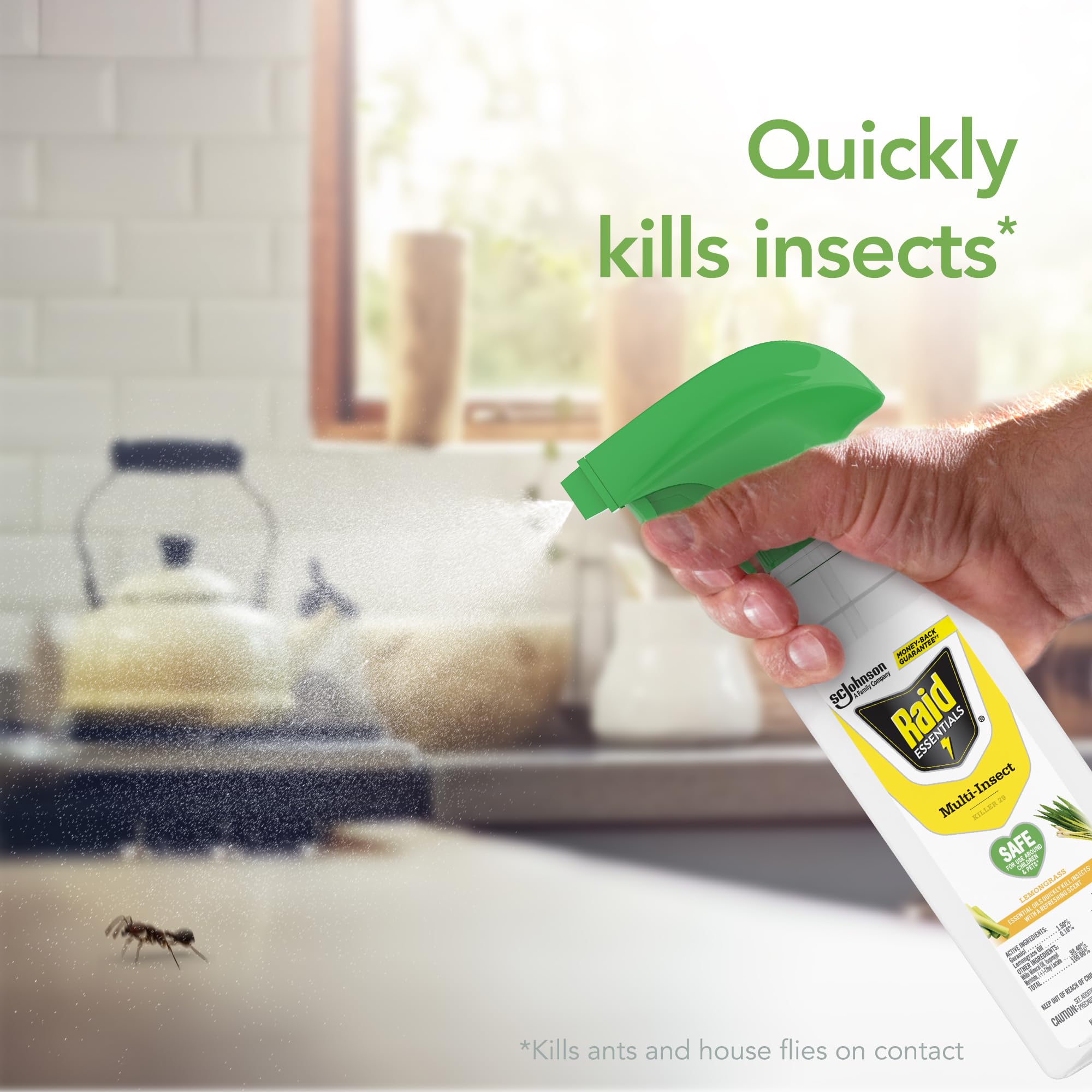 Raid Essentials Multi-Insect Killer Spray Bottle, Child and Pet Safe, for Indoor Use, Lemongrass Scent, 12 fl oz 3