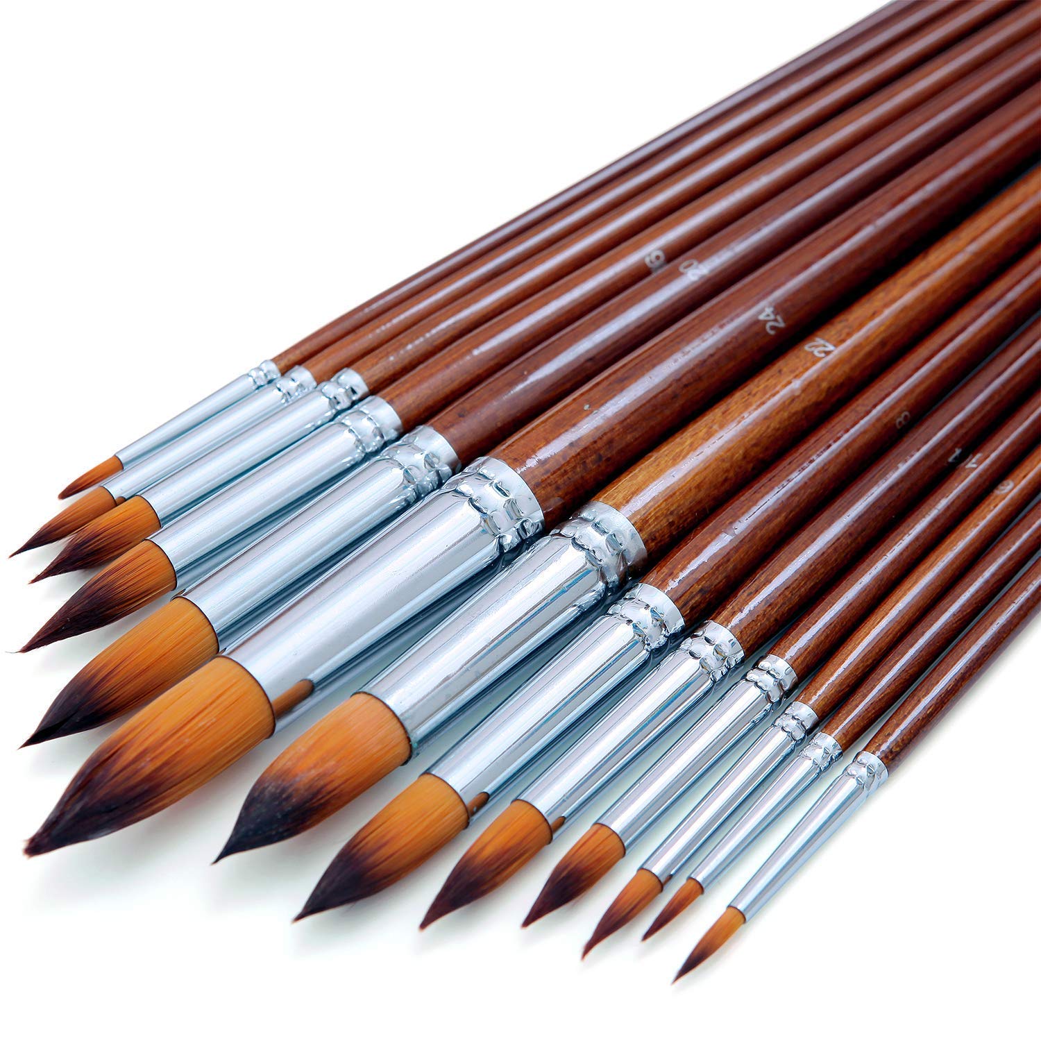 ArtBee® ArtBee Painting Brushes Set for Acrylic, Oil and Watercolor Painting (Round Brushes and Painting Knife with Sponge-Set of 15) 3