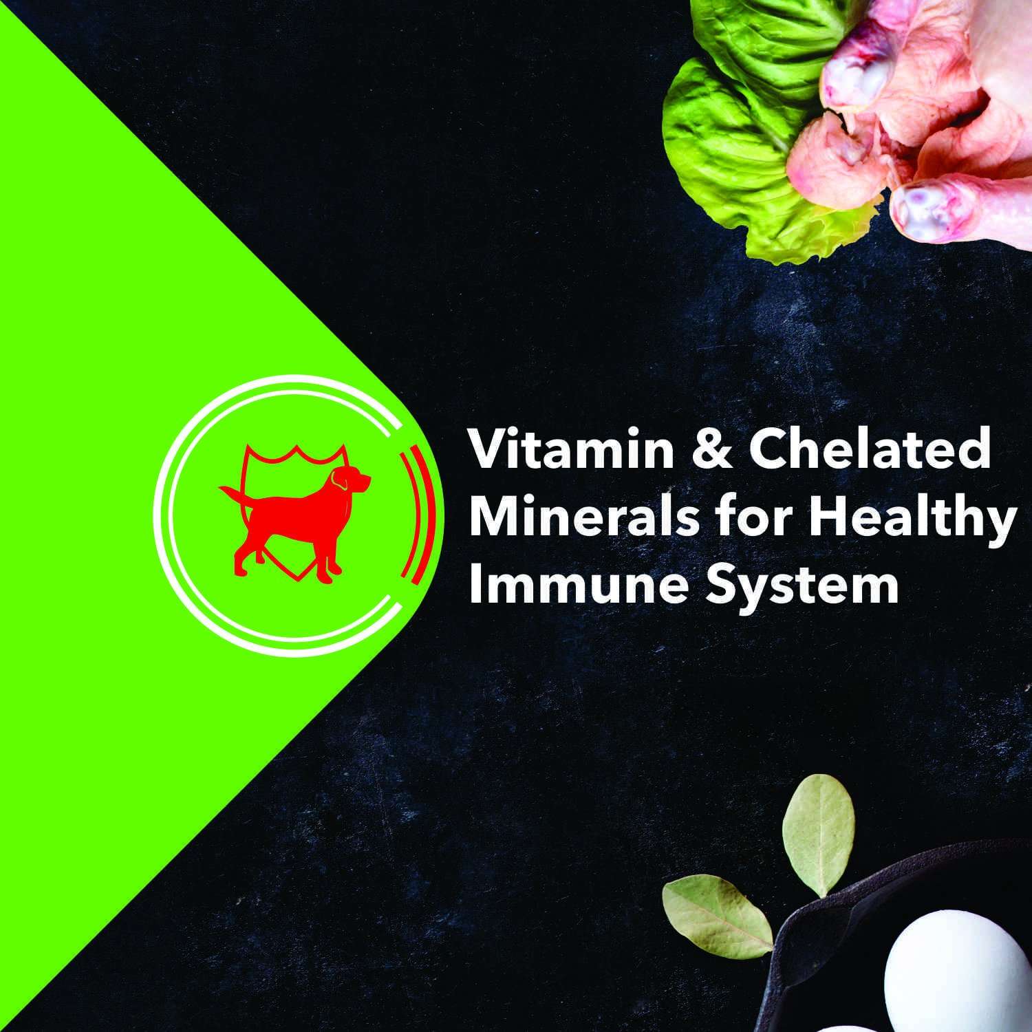 Grain Zero Adult Dog Food, 4 kg (Buy 1 Get 1 Free) 5