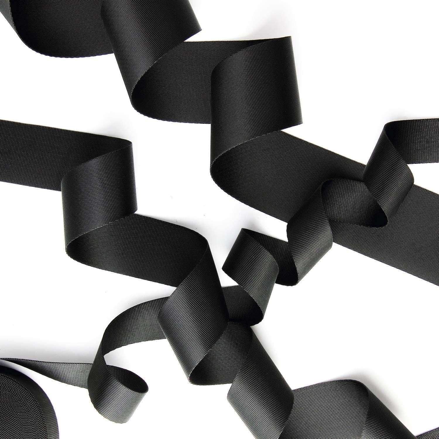 Clickers Art Nylon/Canvas Webbing or Flat Strip Wide for Collars, Leashes, Diving Gear, Sports Gear, Bag Belt, Hiking (Pack of 1) (Width - 1 Inch, 10 Meter) 4