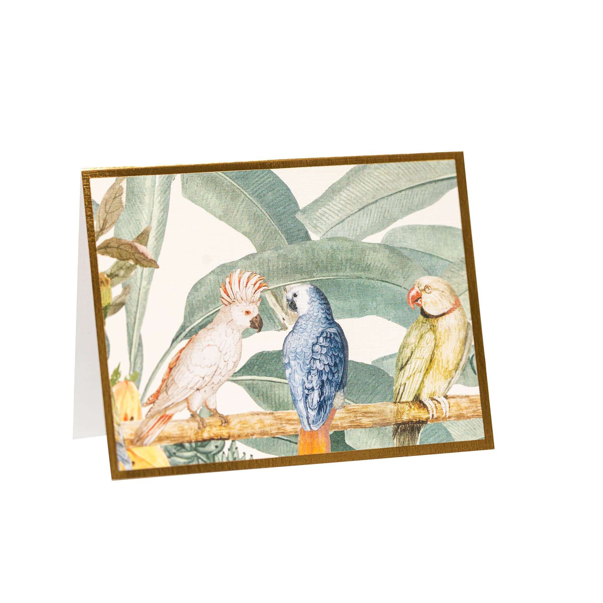 NEHA SINGH BHATIA Premium Folded Blank Gift Cards with Envelopes for Birthdays & Gifting | 250 GSM Card & 100 GSM Envelope | Multicolour Design | 9.2 x 11.8 cm | Pack of 10 3