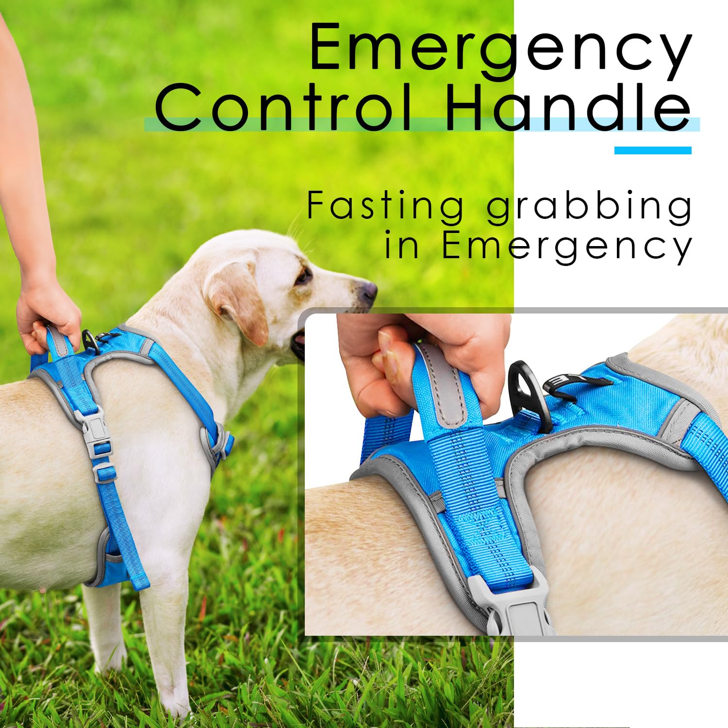 ThinkPet No Pull Harness Breathable Sport Harness with Handle-Dog Harnesses Reflective Adjustable for Medium Large Dogs,Back/Front Clip for Easy Control L Sky Blue 6