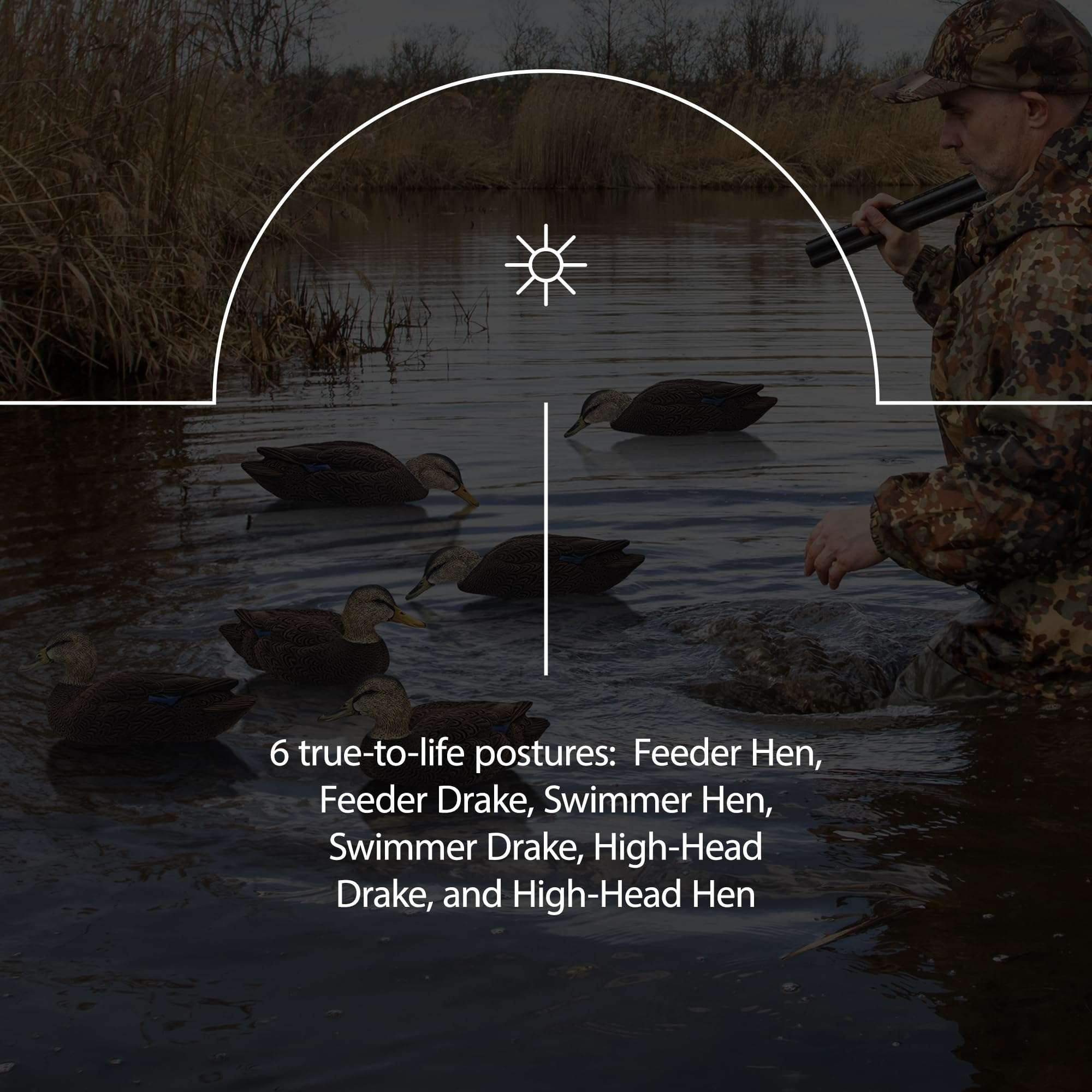 Avian X Topflight Black Realistic Duck Decoy Sets with Flocked Bodies, 6 Unique Postures, Weight Forward Swim Keel, & Durable No Flake Finish 4