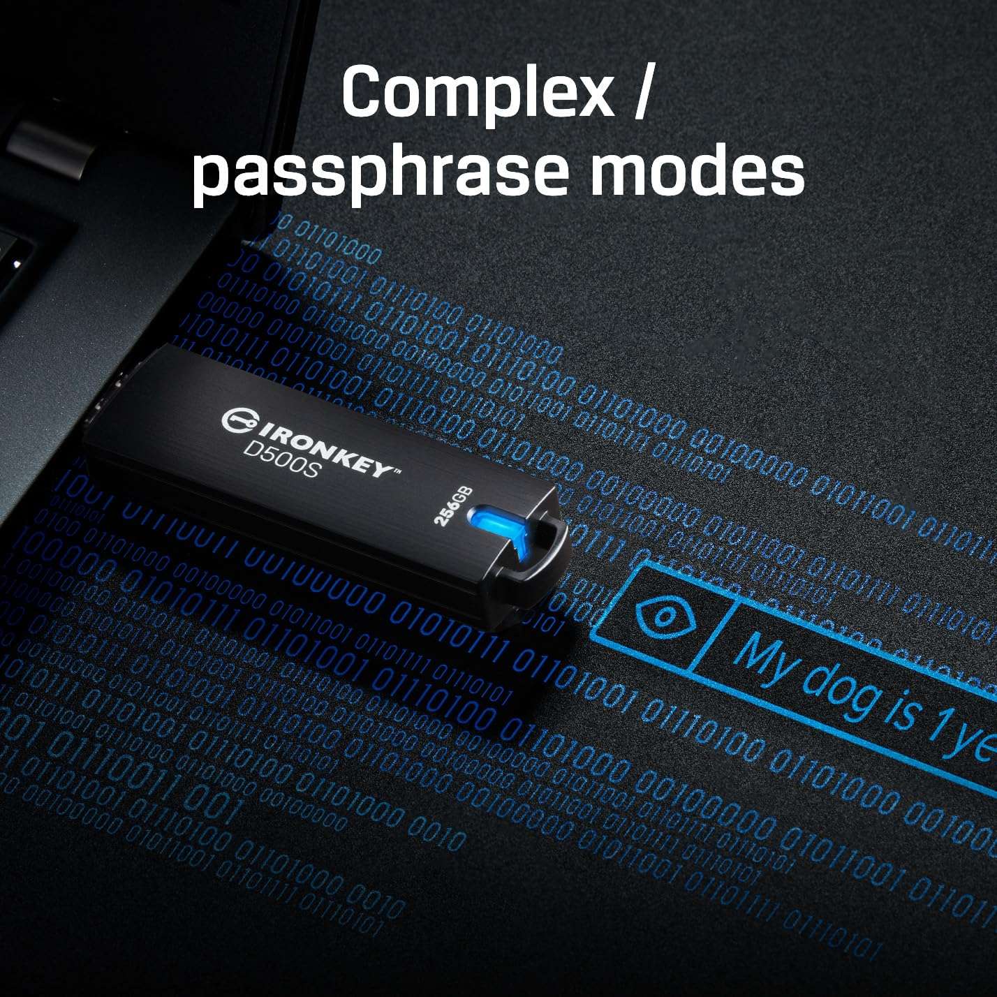 Kingston Ironkey D500S 32GB Encrypted Flash Drive | Dual Hidden Partition | FIPS 140-3 Level 3 | XTS-AES 256-bit | BadUSB and Brute Force Protection | Multi-Pin Option | IKD500S/32GB 4