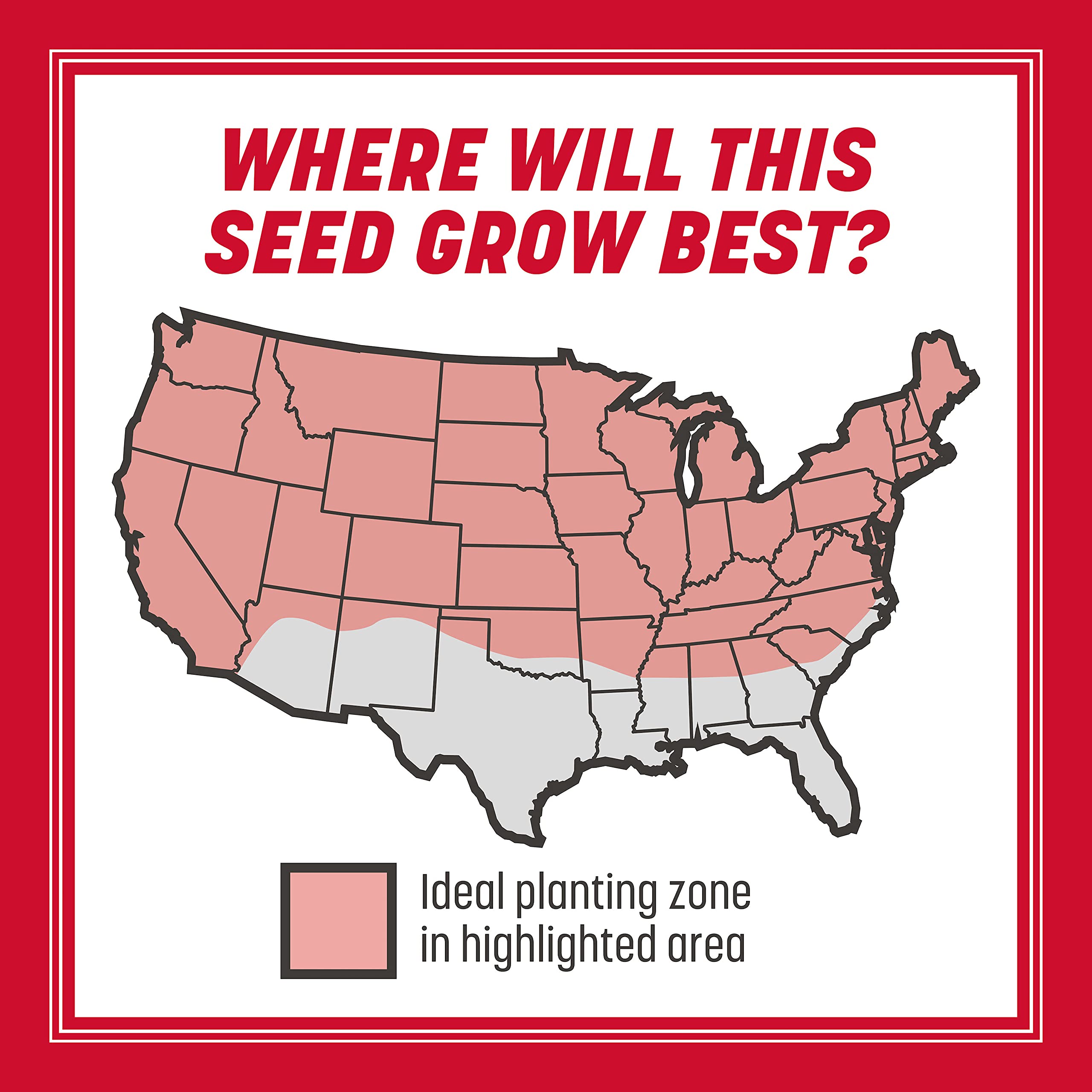 Pennington The Rebels Tall Fescue Grass Seed Mix 20 lb 5