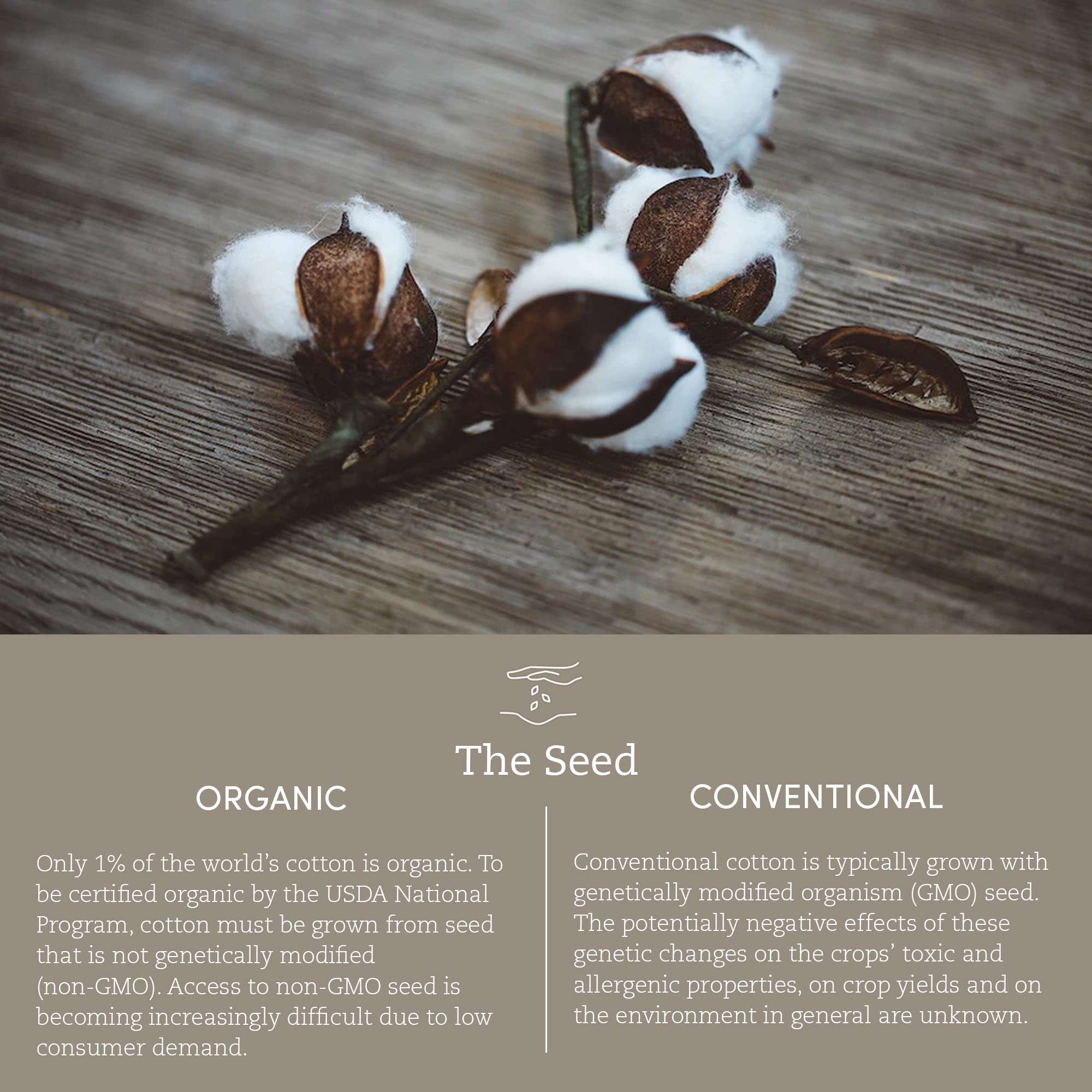 Coyuchi Air Weight Organic Twill Bath Mat, 32"x19", Stone Blue 6