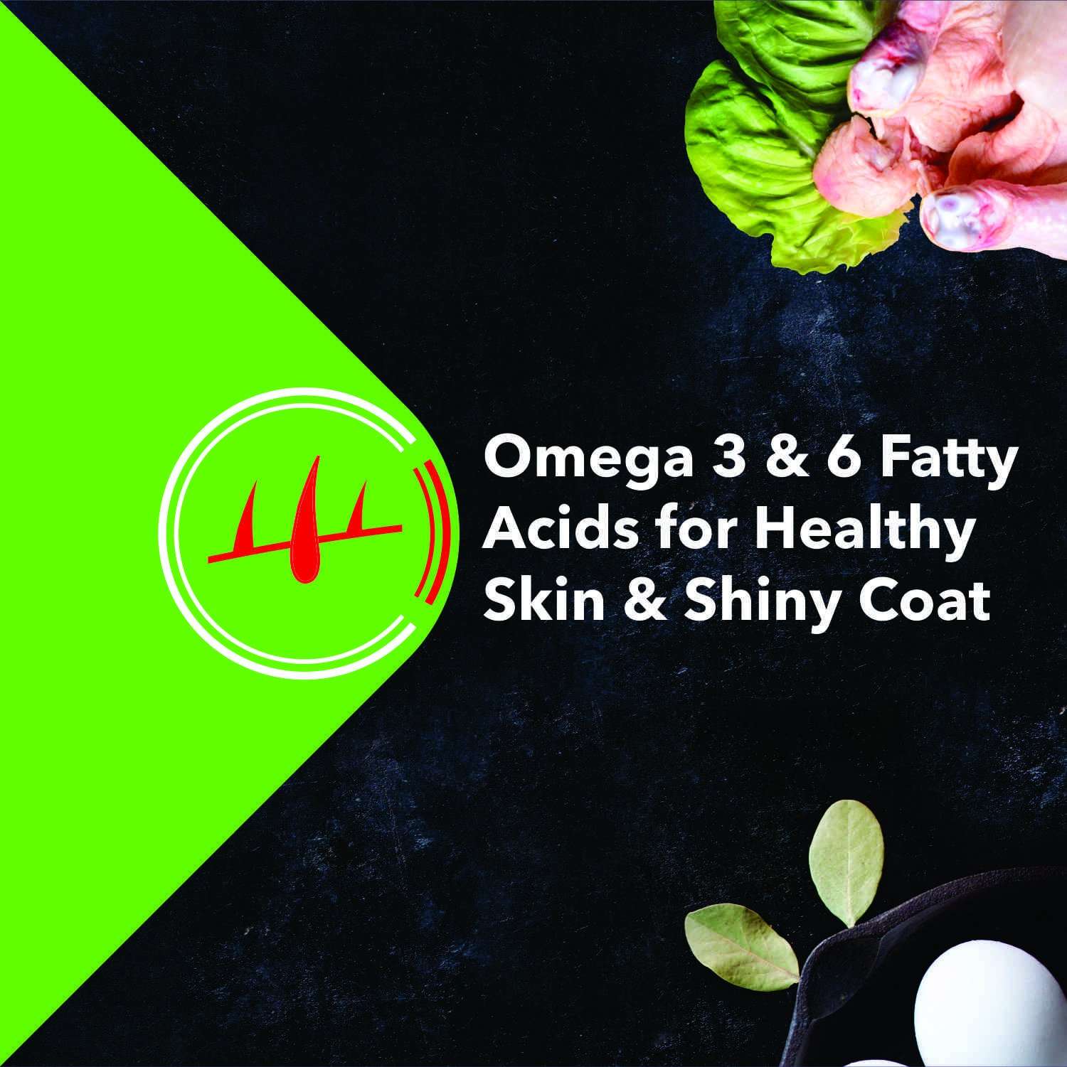 Grain Zero Adult Dog Food, 4 kg (Buy 1 Get 1 Free) 4