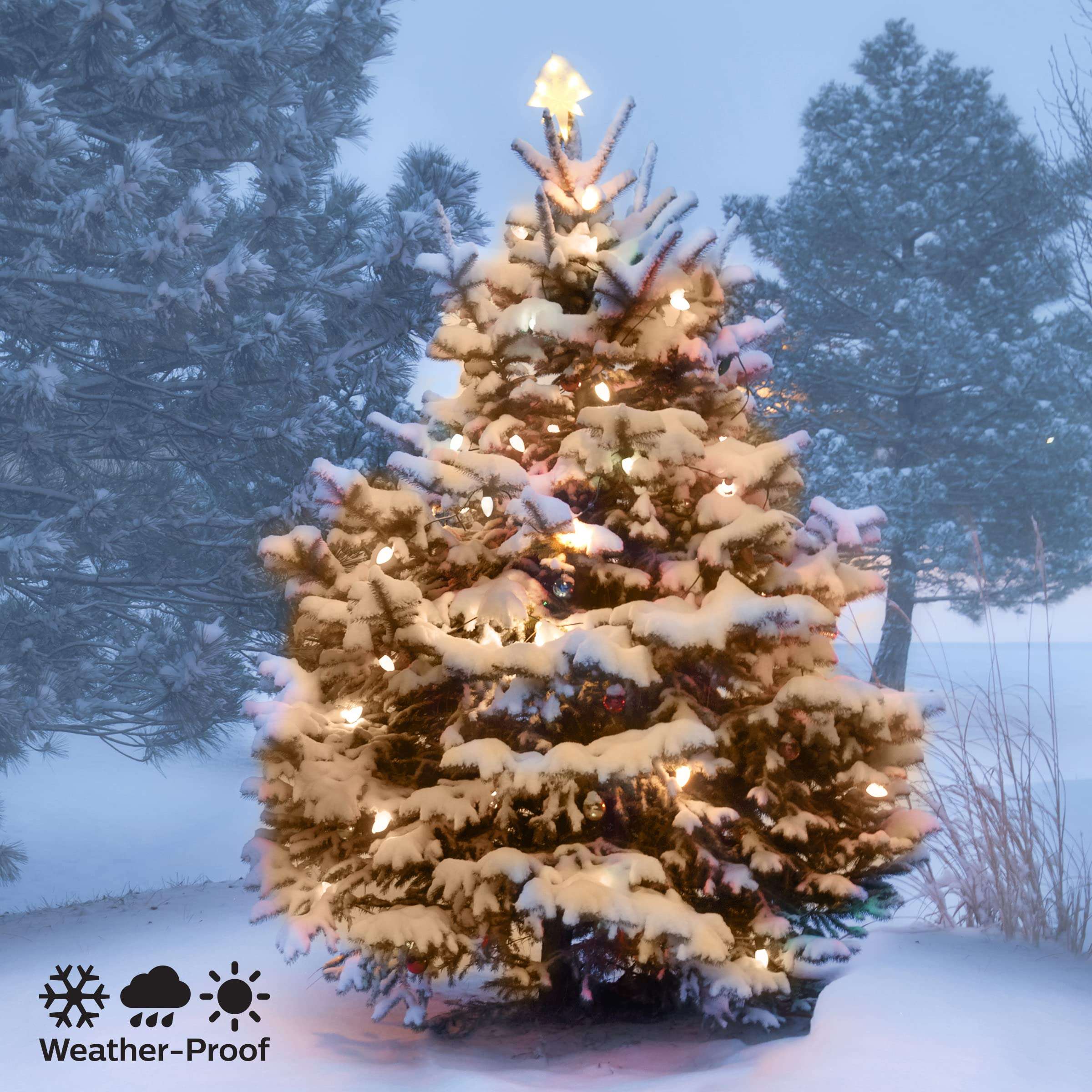 Philips 250 LED Warm White Faceted C6 Christmas Lights on Green Wire with Storage Spool - UL Listed for Indoor/Outdoor Use - 64.33' Total Length with 4" Bulb Spacing - String Lights for Christmas Tree 6