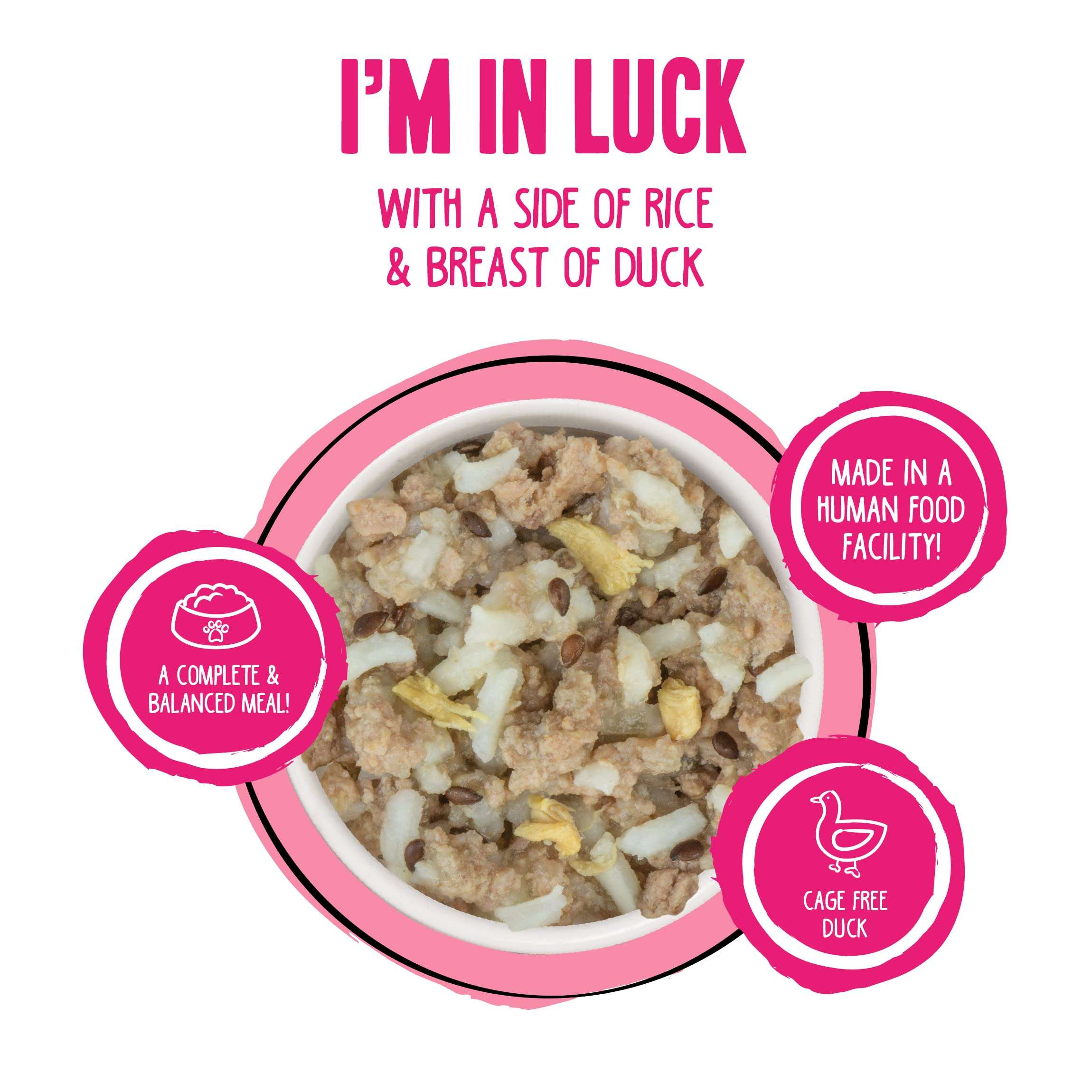 Weruva Best Fido Friend Fun Size Meals for Dogs, Im in Luck, 2.75oz Cup, Pack of 12 4