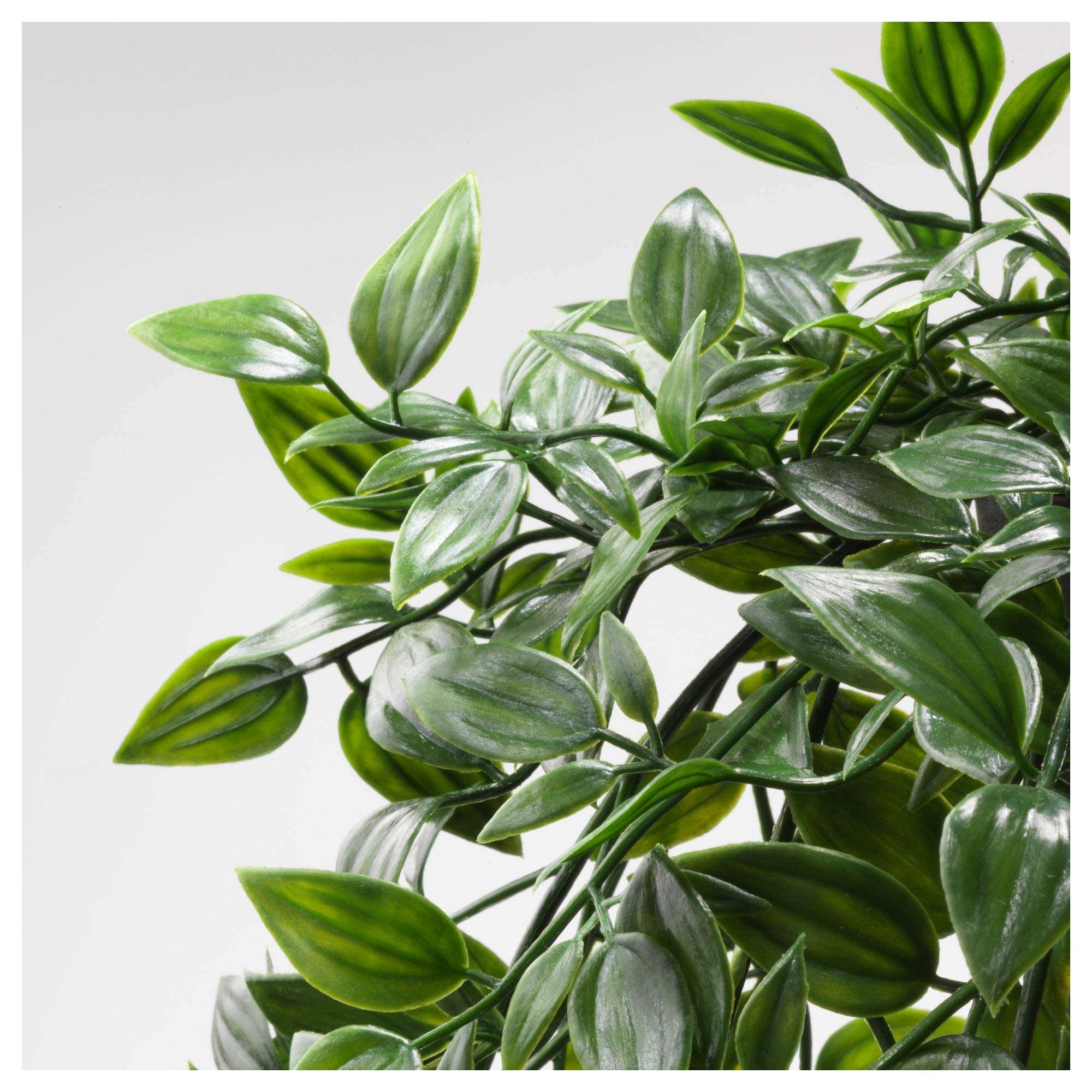 Ikea FEJKA Artificial Potted Plant, in/Outdoor, Hanging, 9 cm (3 ½") 4