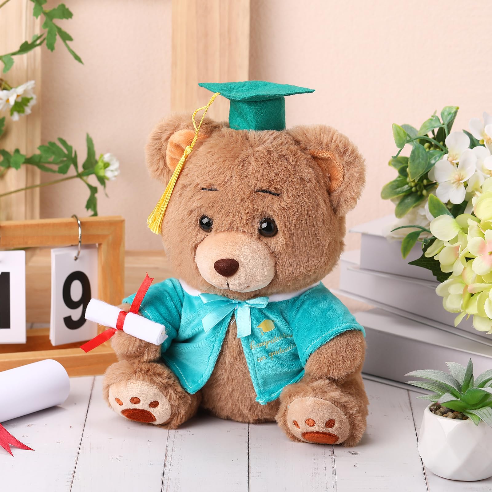 Deekin 10 Inch Graduation Bears Stuffed Animal Class of 2025 Plush Bear in Black Cap Graduation Bear Kindergarten Graduation Gifts Stuffed Bear Plush Bear Toy for Grad Party Decor(Green) 6