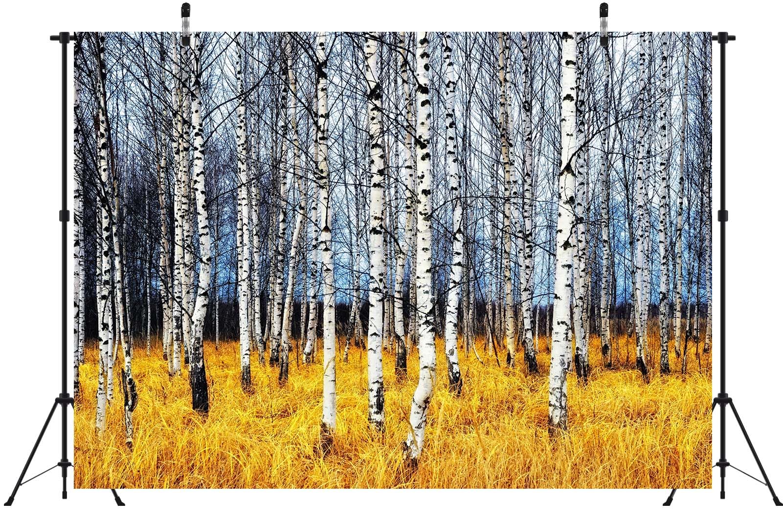 CORFOTO Autumn Forest White Birch Trees Backdrop Fabric 17x10ft Orange Grass Bare Trunk Nature Scene Background for Fall Scenery Birthday Party Decorations Baby Shower Halloween Photoshoot Props 5