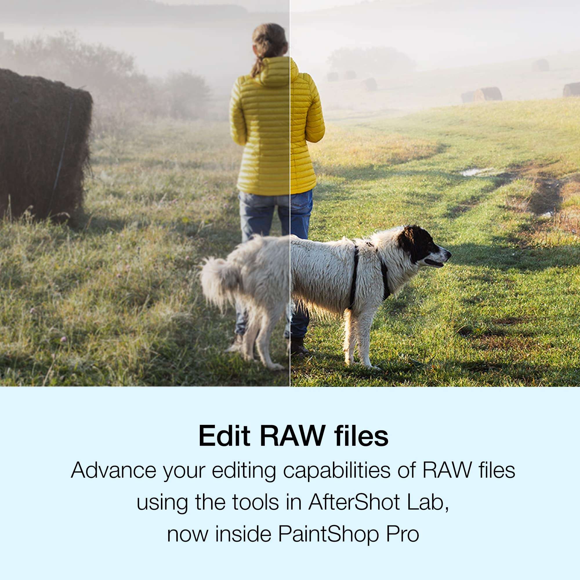 Corel PaintShop Pro 2023 | Powerful Photo Editing & Graphic Design Software [PC Key Card] 4