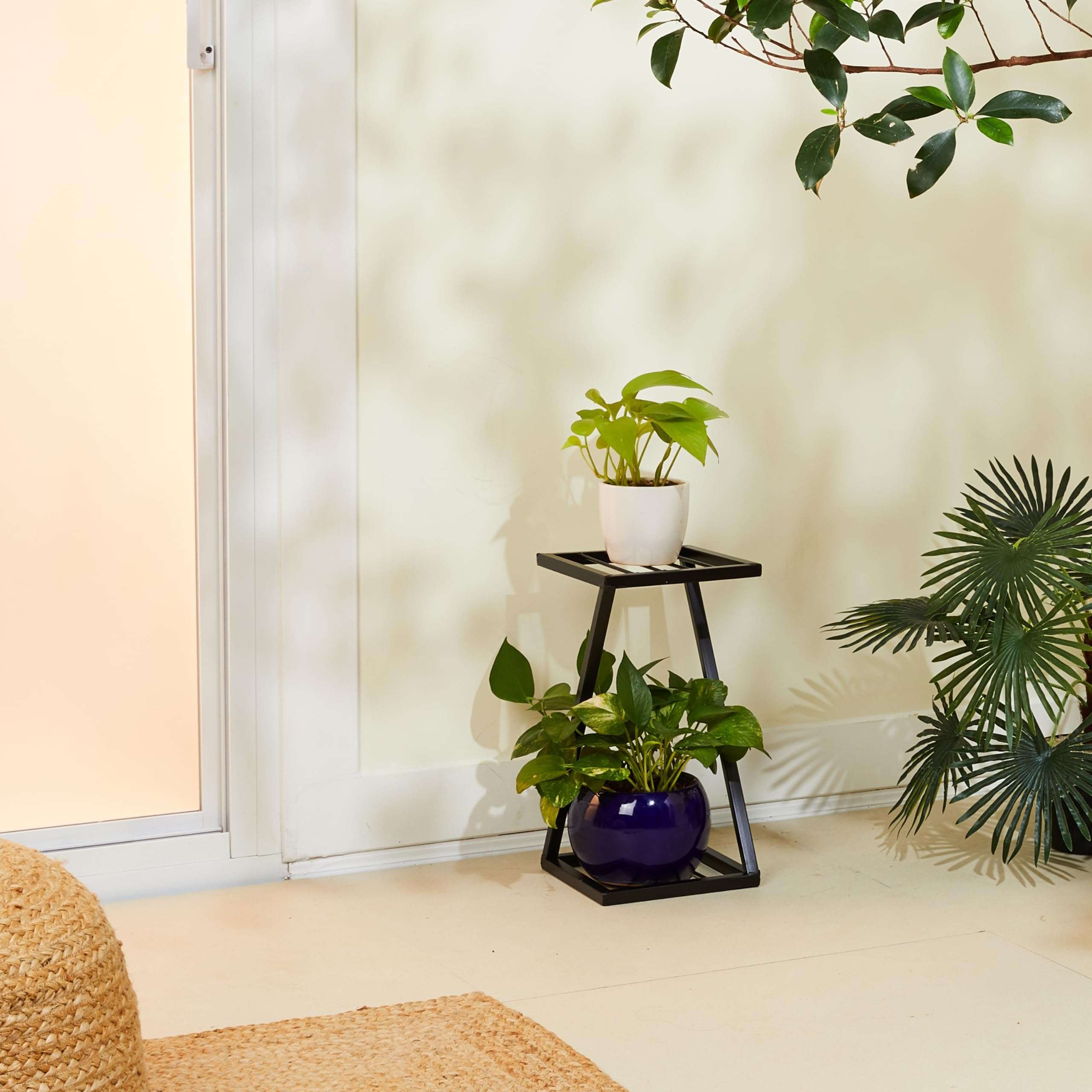 Amazon Brand - Solimo Stylish Metal Plant Stand (New Z Shape X Shape) (Set of 1, 40 cm stand) | Strong Legs Perfect Metal Stand for Planter Indoor and Outdoor 5