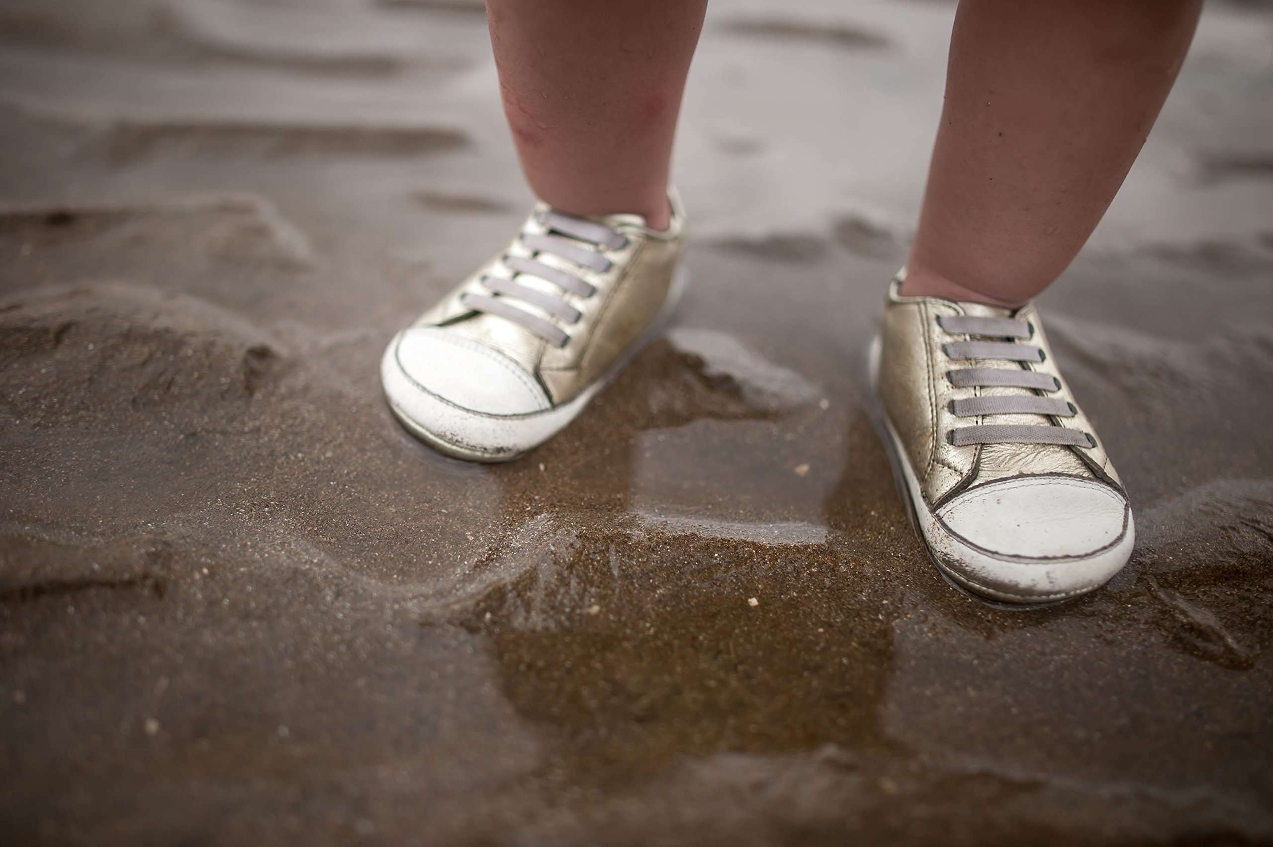 Samyang 24 mm F1.4 Manual Focus Lens for Sony E Black 4