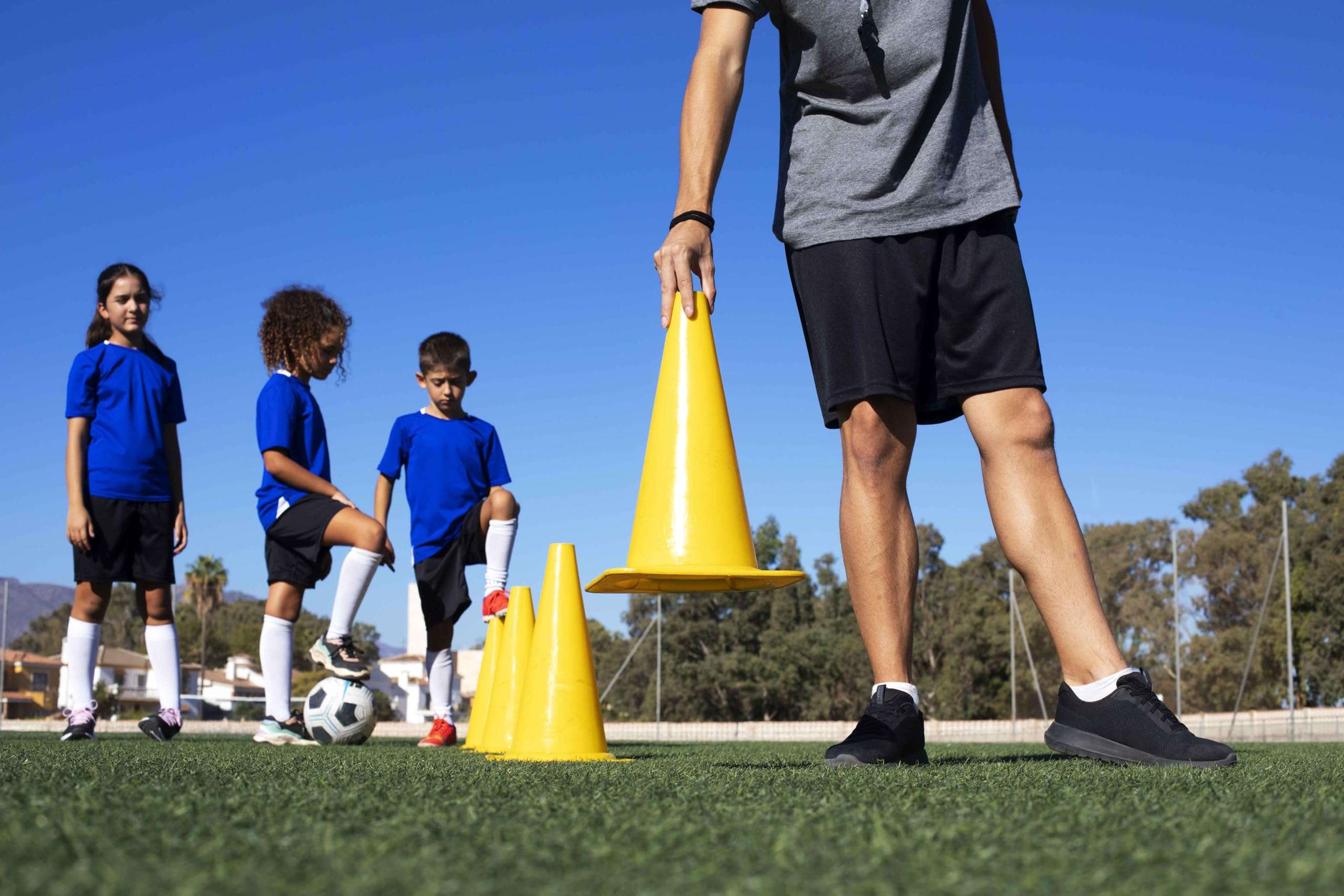 Protoner Training Cones Set of 12, Multi-Colour, with Carry Bag, 6-15 Inch (6"(Pack of 12)) 3