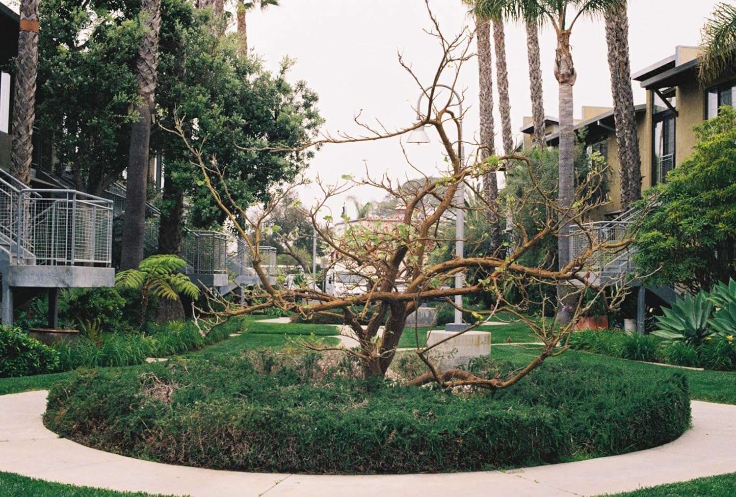 FUJIFILM 200 Color Negative Film (35mm Roll Film, 36 Exposures, 3-Pack) + BluebirdSales Microfiber Cleaning Cloth Bundle 6