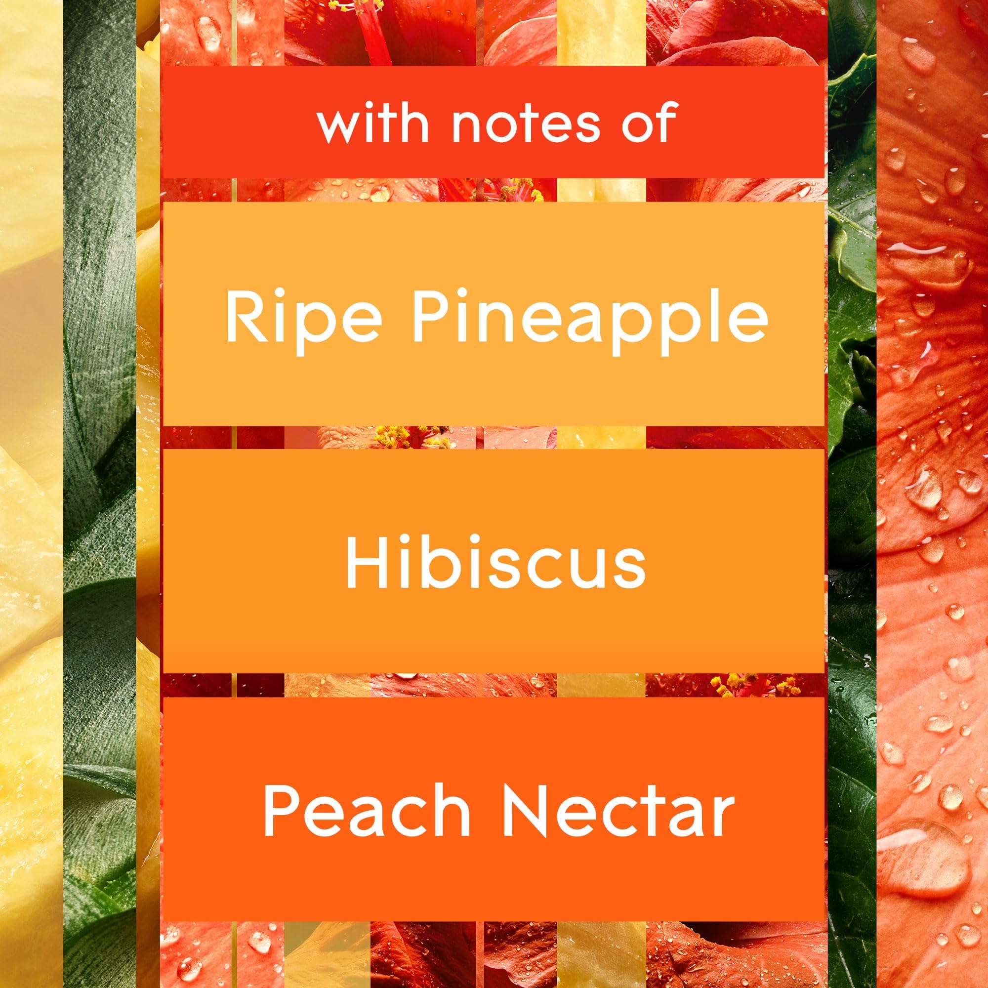 Glade Automatic Spray Refill and Holder Kit, Air Freshener for Home and Bathroom, Hawaiian Breeze, 6.2 Oz, 2 Count 3