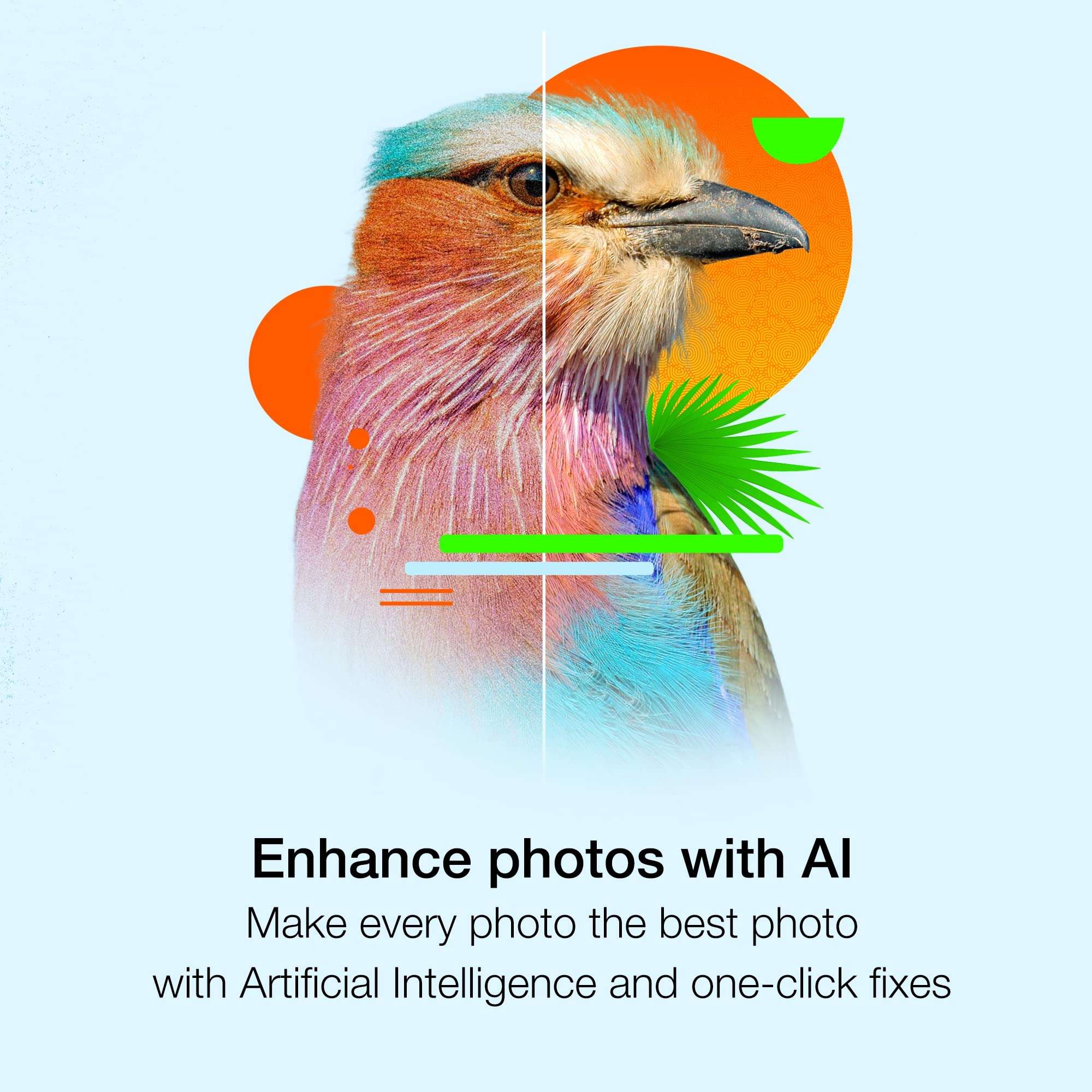 Corel PaintShop Pro 2023 | Powerful Photo Editing & Graphic Design Software [PC Key Card] 3