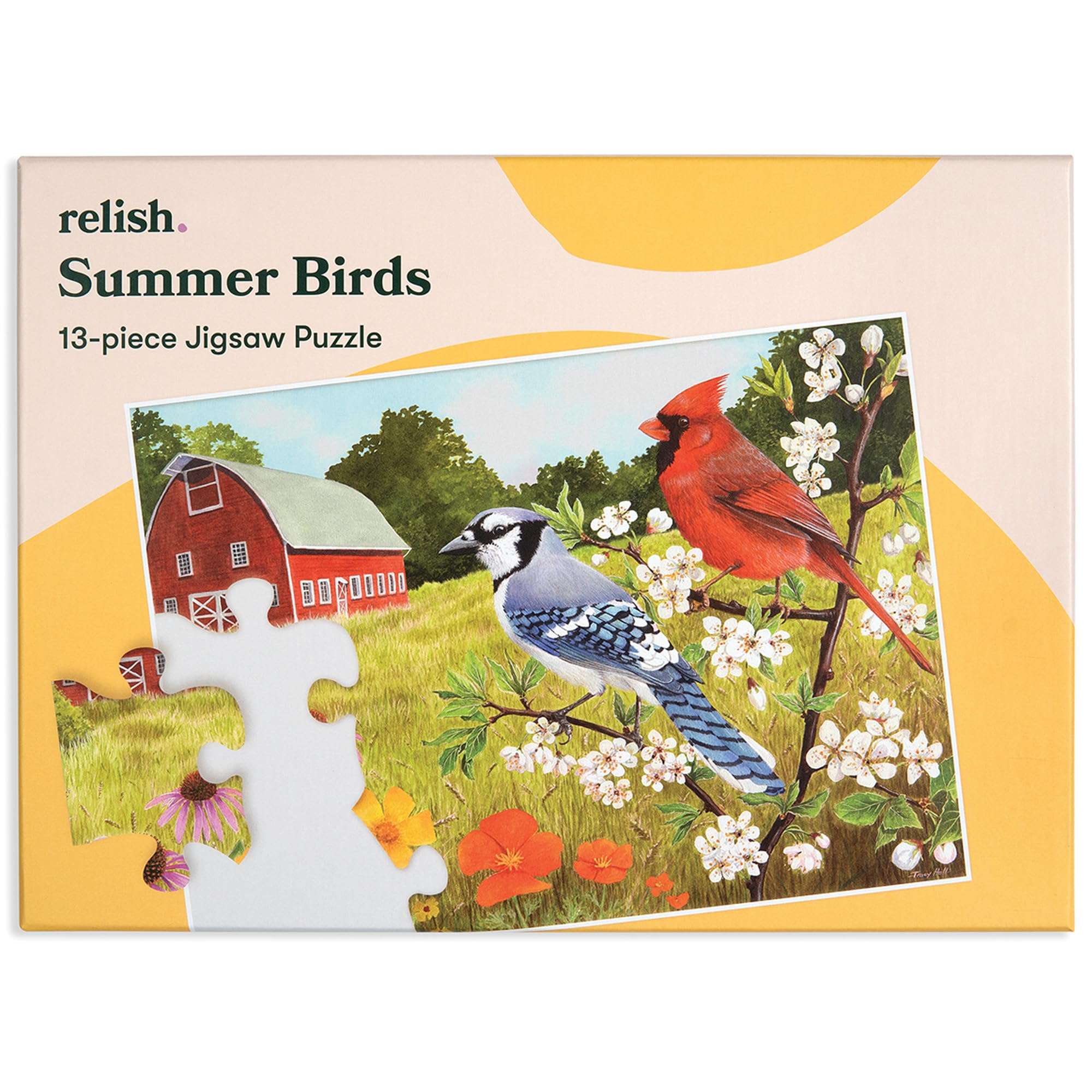 Relish Large Piece Puzzles for Seniors, 13 Piece Summer Birds Jigsaw Puzzle, Dementia Products for Elderly 1