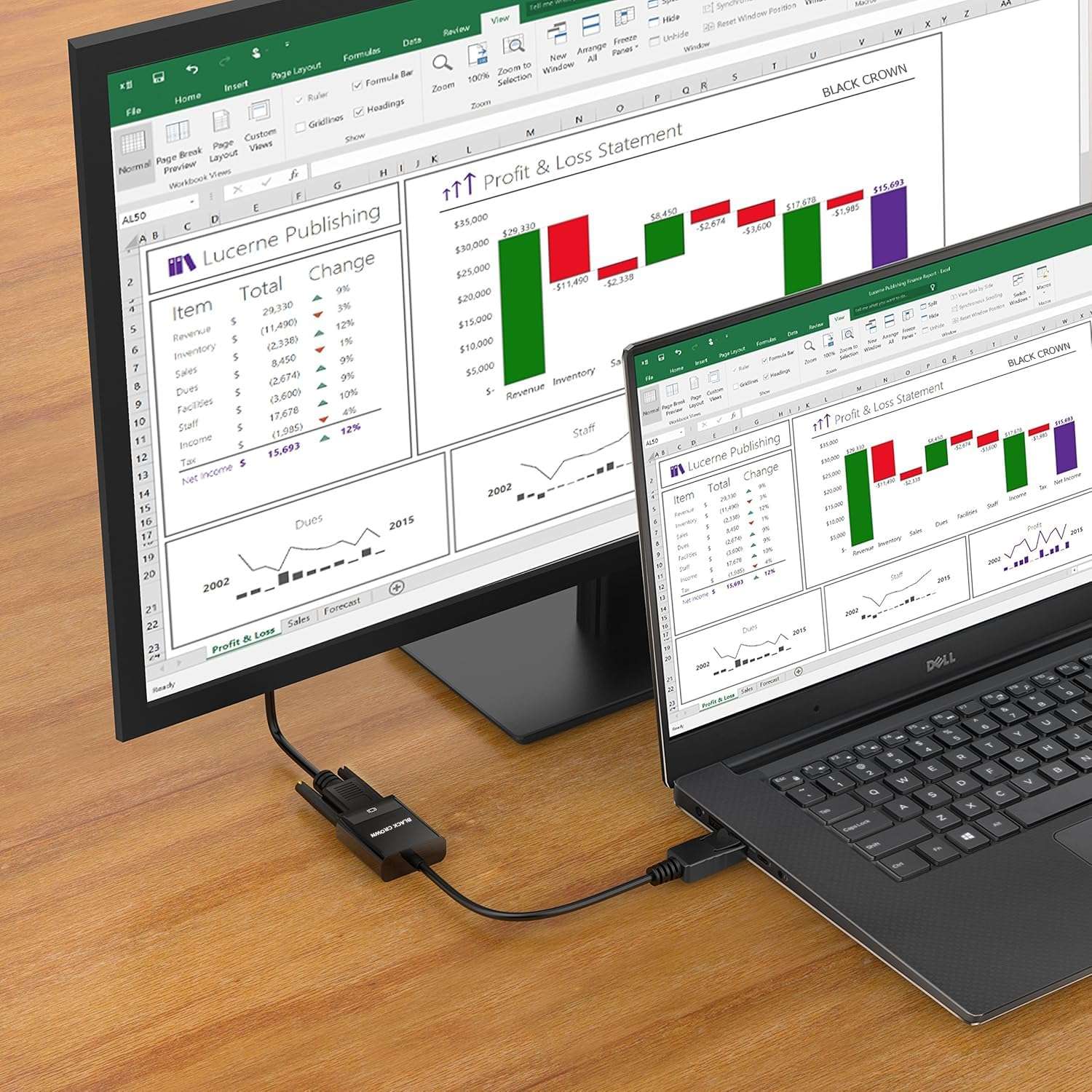 BLACK CROWN DisplayPort (DP) to VGA Adapter, Gold Plated Display Port to VGA Converter (Male to Female) Compatible with Computer, Desktop, Laptop, PC, Monitor, Projector, HDTV etc.(Black) 4