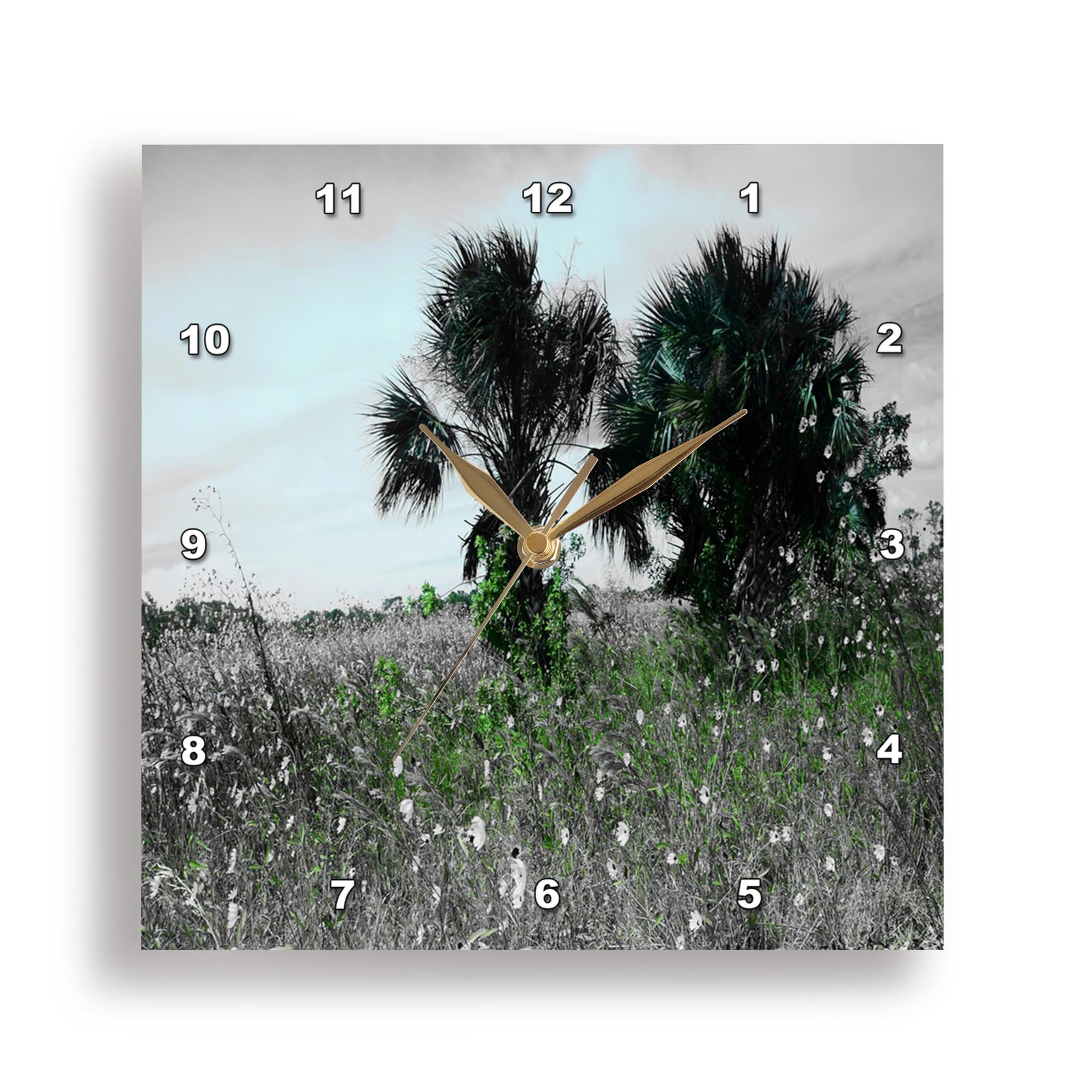 3dRose Wall Clock Silent - 13 inch - Image of Black and White Palms with Aqua Clouds Some Green - Lens Art by Florene - Black and White with Twist 1